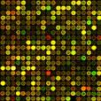 Microarray Expression