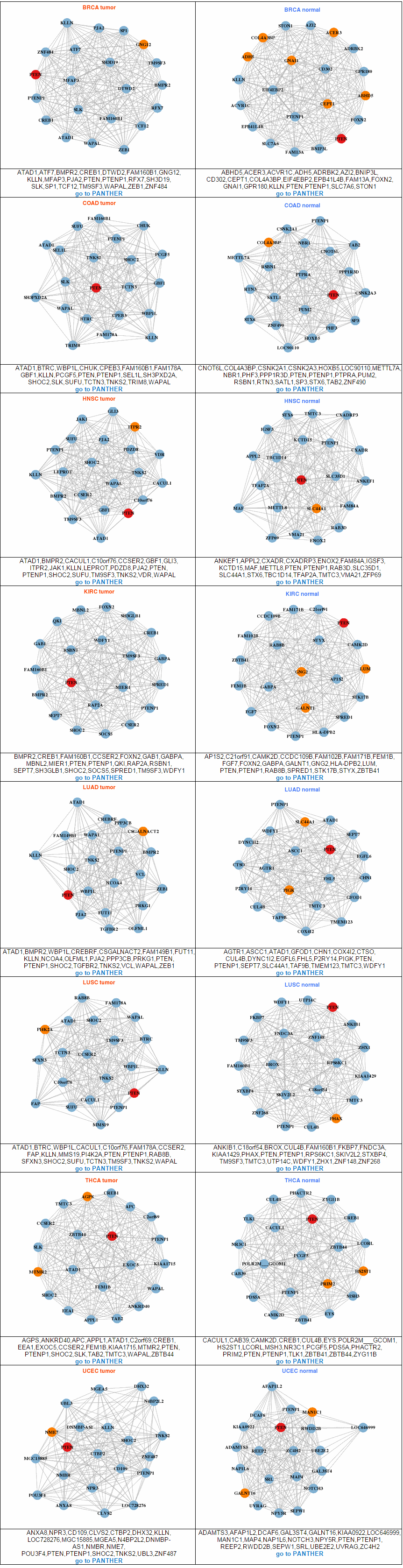 Gene Network Category