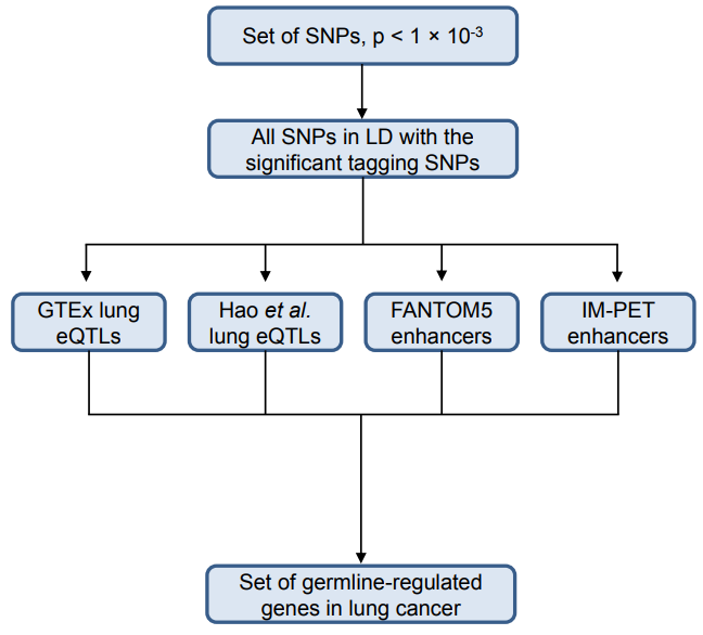 pipeline for this study