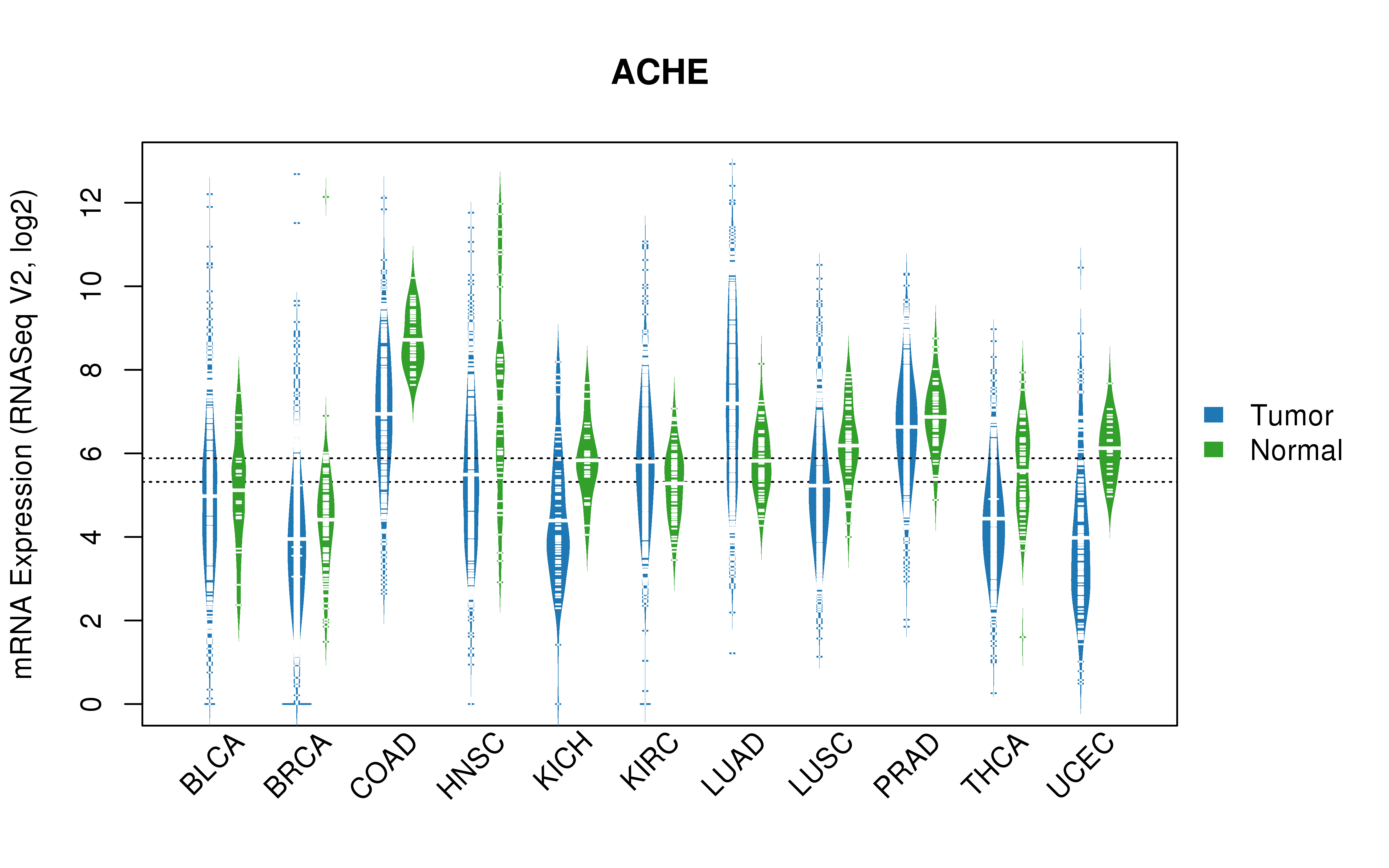 TCGA pan-cancer gene expression summary; We extracted RNASeqV2 normalized gene expression data from TCGA using the R package TCGA-Assembler. All public data files on TCGA DCC data server were gathered on Jan-05-2015.