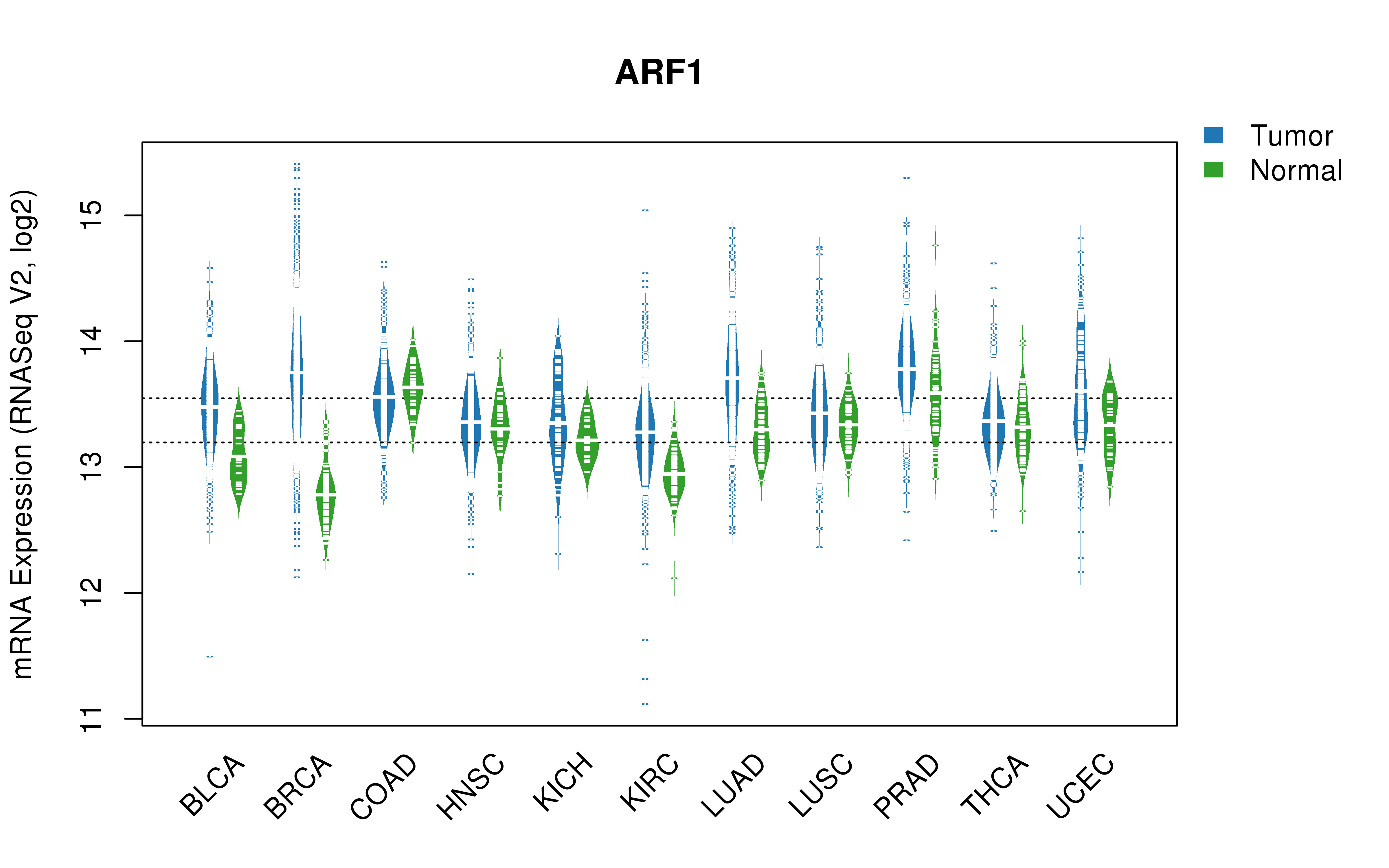 TCGA pan-cancer gene expression summary; We extracted RNASeqV2 normalized gene expression data from TCGA using the R package TCGA-Assembler. All public data files on TCGA DCC data server were gathered on Jan-05-2015.