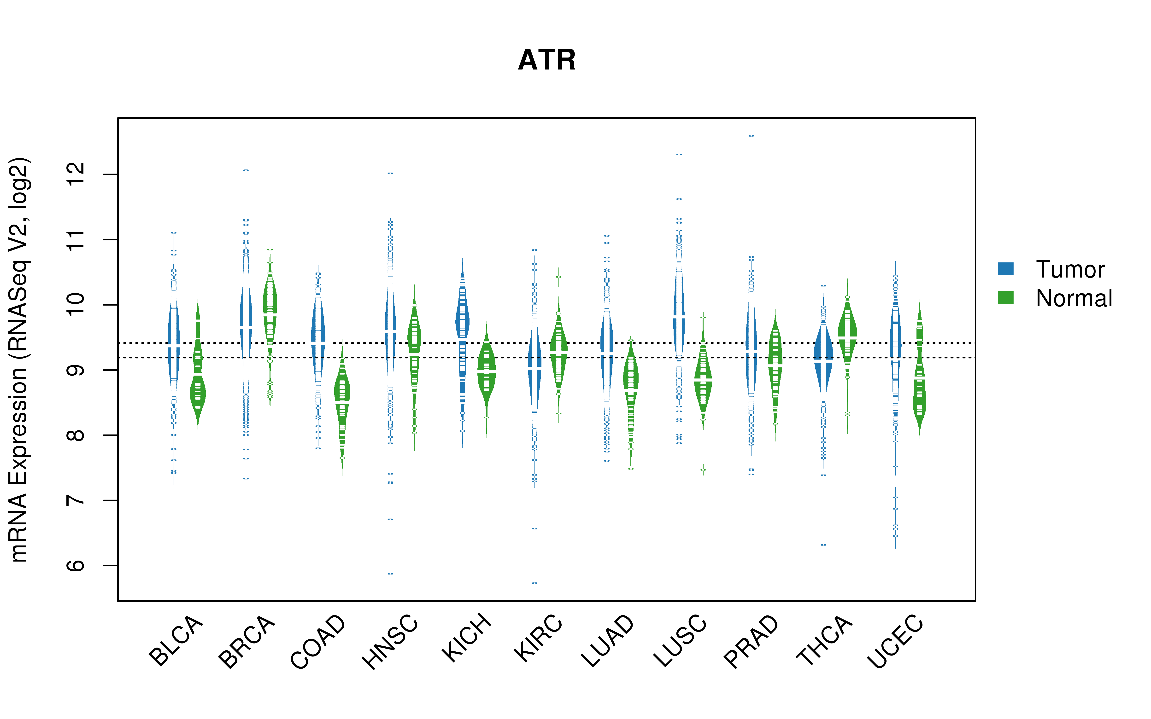 TCGA pan-cancer gene expression summary; We extracted RNASeqV2 normalized gene expression data from TCGA using the R package TCGA-Assembler. All public data files on TCGA DCC data server were gathered on Jan-05-2015.