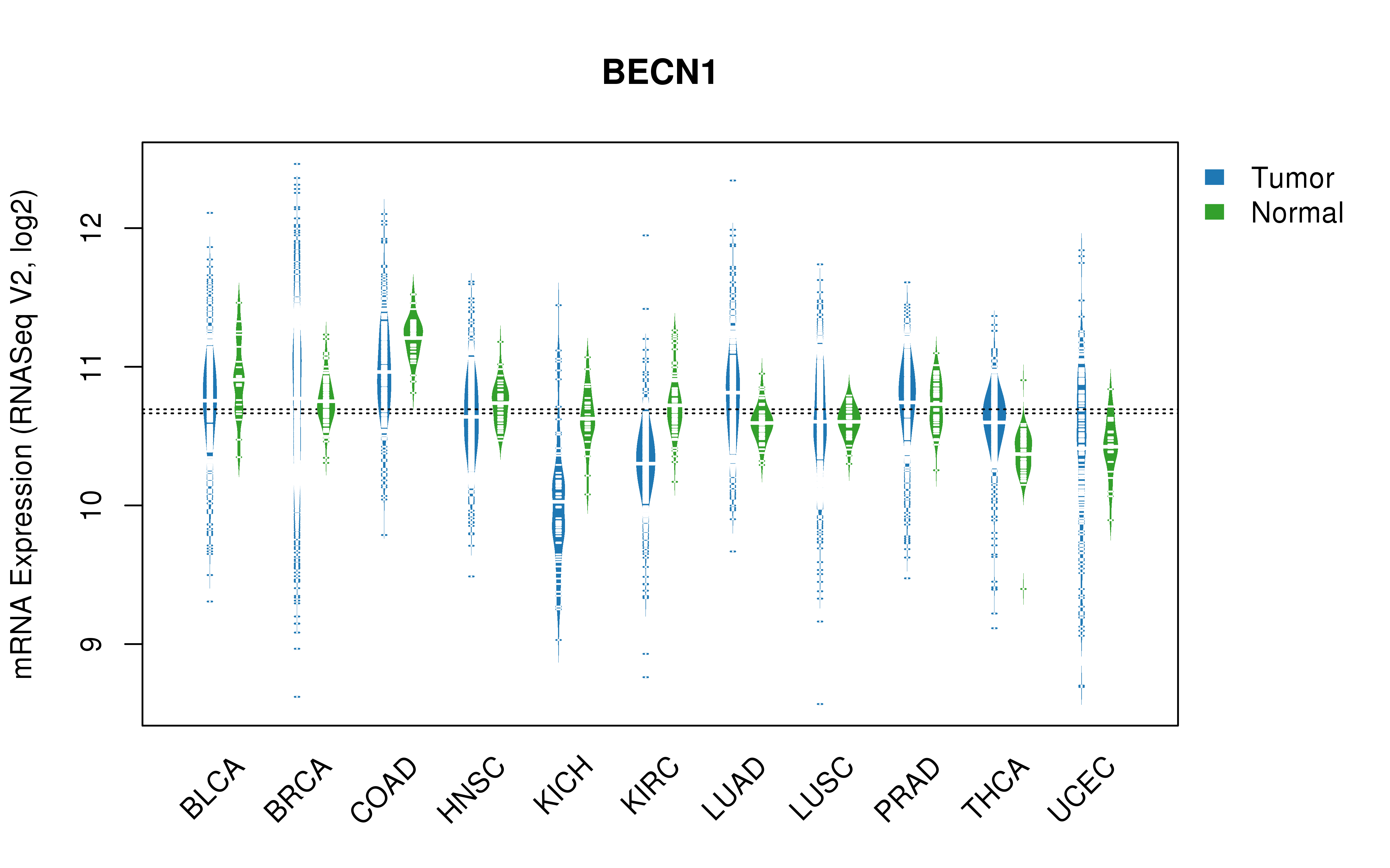 TCGA pan-cancer gene expression summary; We extracted RNASeqV2 normalized gene expression data from TCGA using the R package TCGA-Assembler. All public data files on TCGA DCC data server were gathered on Jan-05-2015.