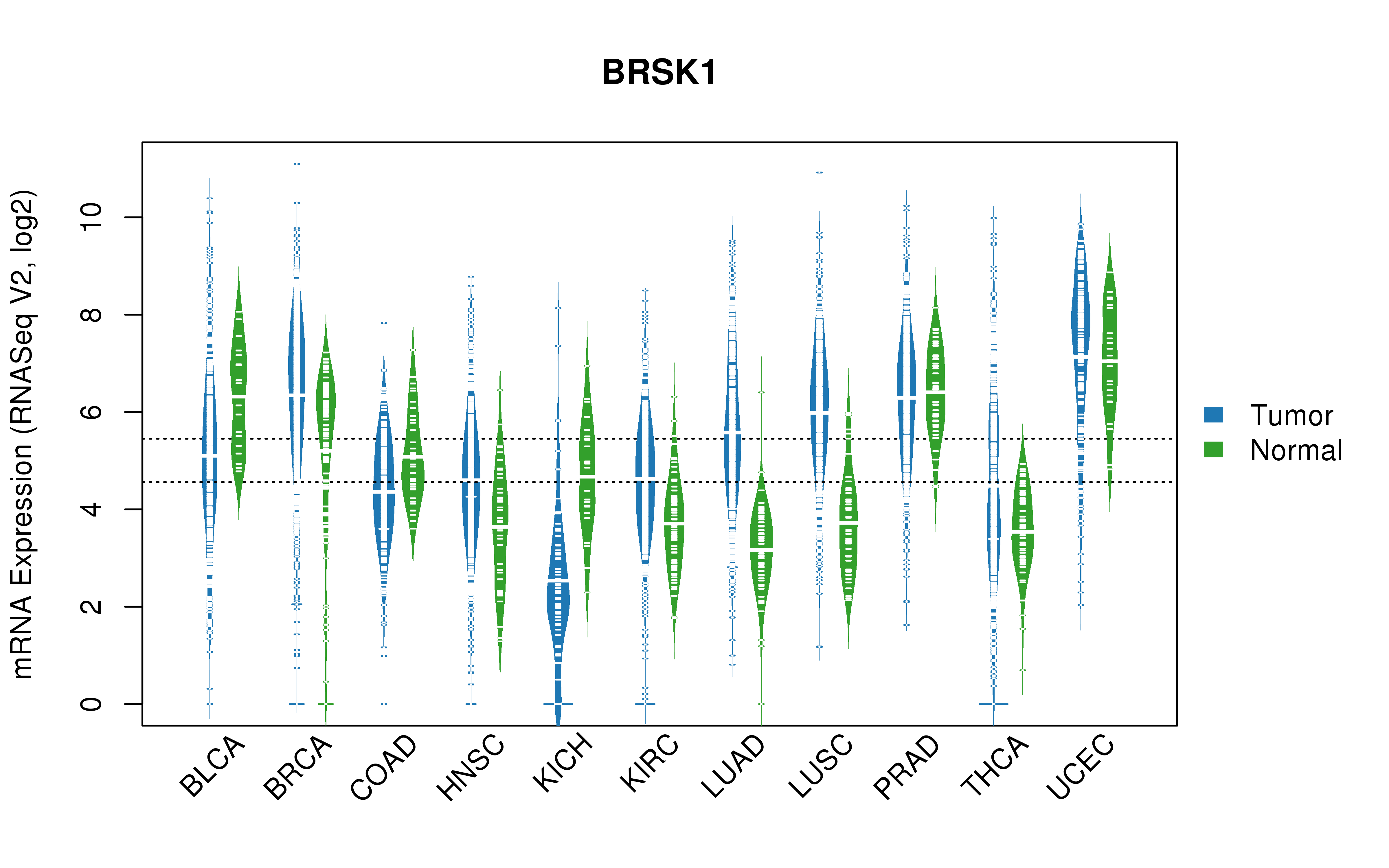 TCGA pan-cancer gene expression summary; We extracted RNASeqV2 normalized gene expression data from TCGA using the R package TCGA-Assembler. All public data files on TCGA DCC data server were gathered on Jan-05-2015.