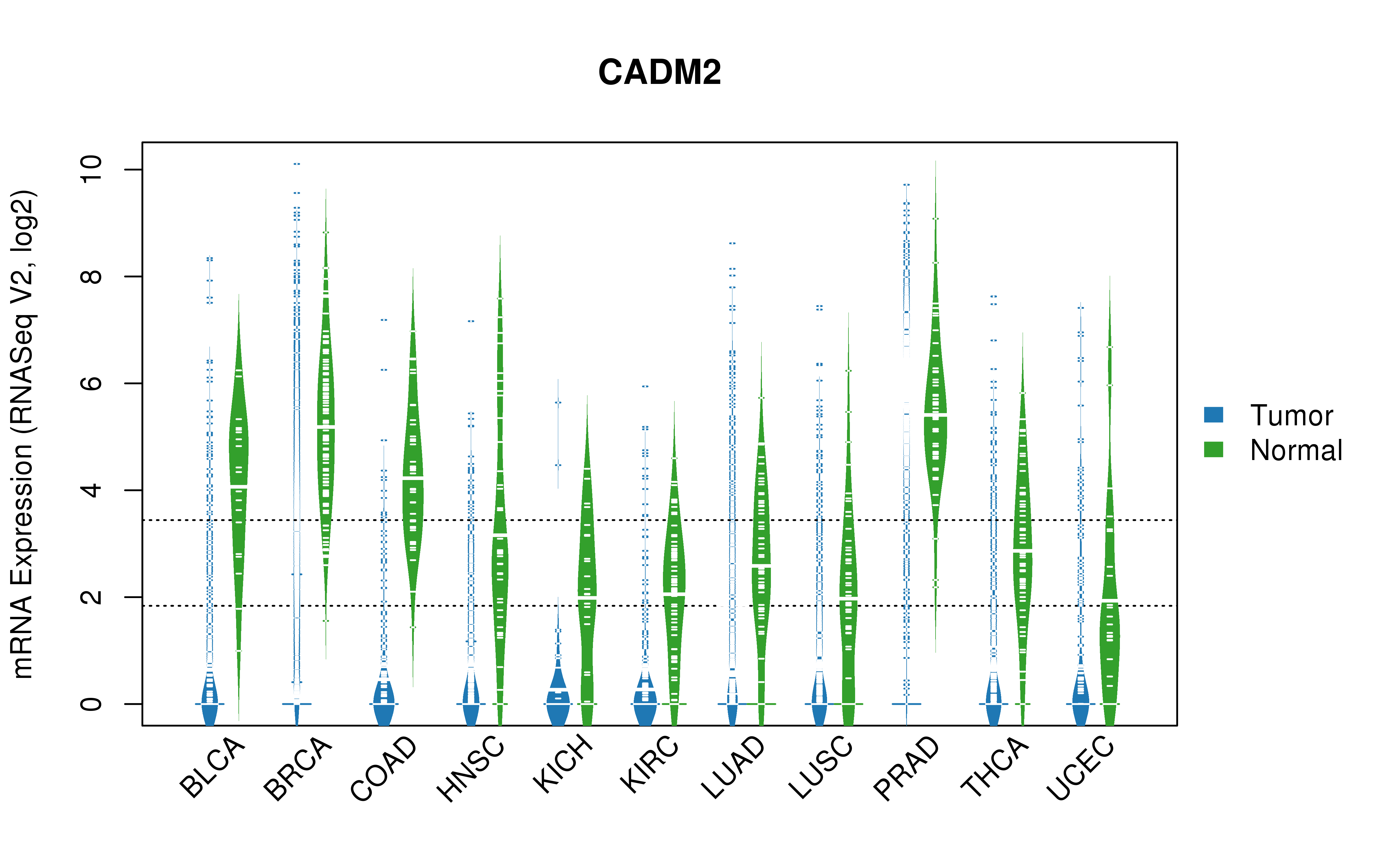 TCGA pan-cancer gene expression summary; We extracted RNASeqV2 normalized gene expression data from TCGA using the R package TCGA-Assembler. All public data files on TCGA DCC data server were gathered on Jan-05-2015.