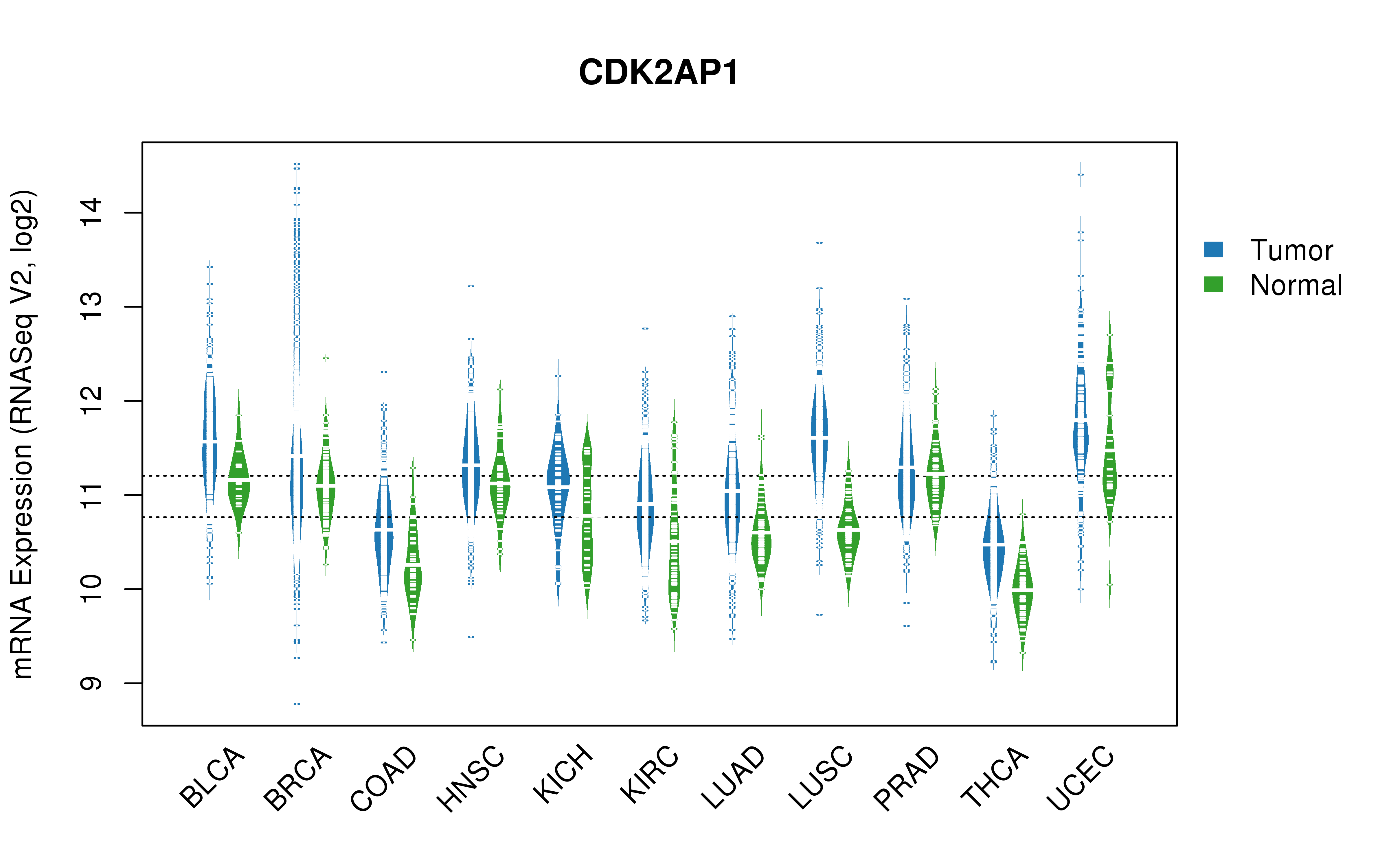 TCGA pan-cancer gene expression summary; We extracted RNASeqV2 normalized gene expression data from TCGA using the R package TCGA-Assembler. All public data files on TCGA DCC data server were gathered on Jan-05-2015.