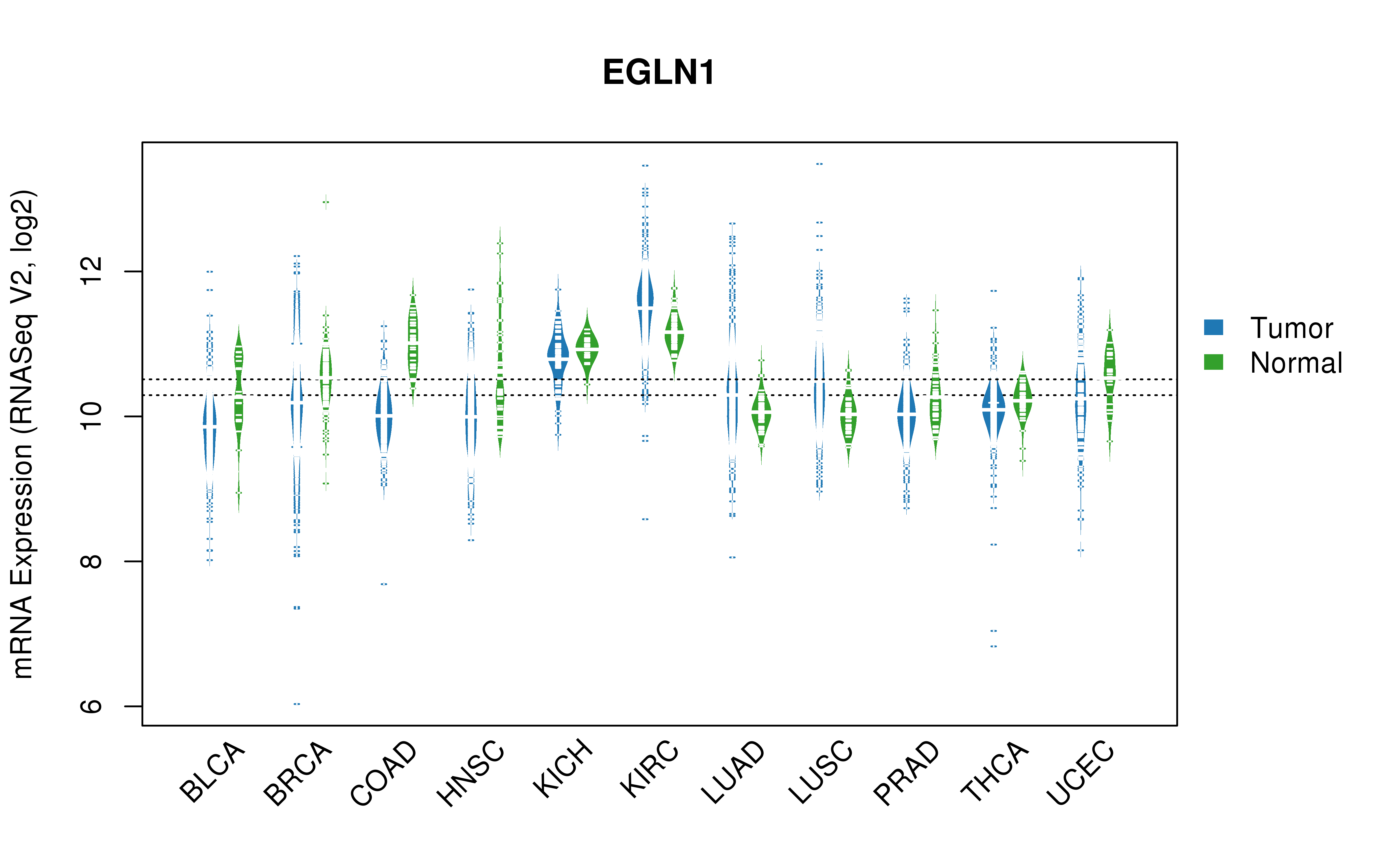 TCGA pan-cancer gene expression summary; We extracted RNASeqV2 normalized gene expression data from TCGA using the R package TCGA-Assembler. All public data files on TCGA DCC data server were gathered on Jan-05-2015.