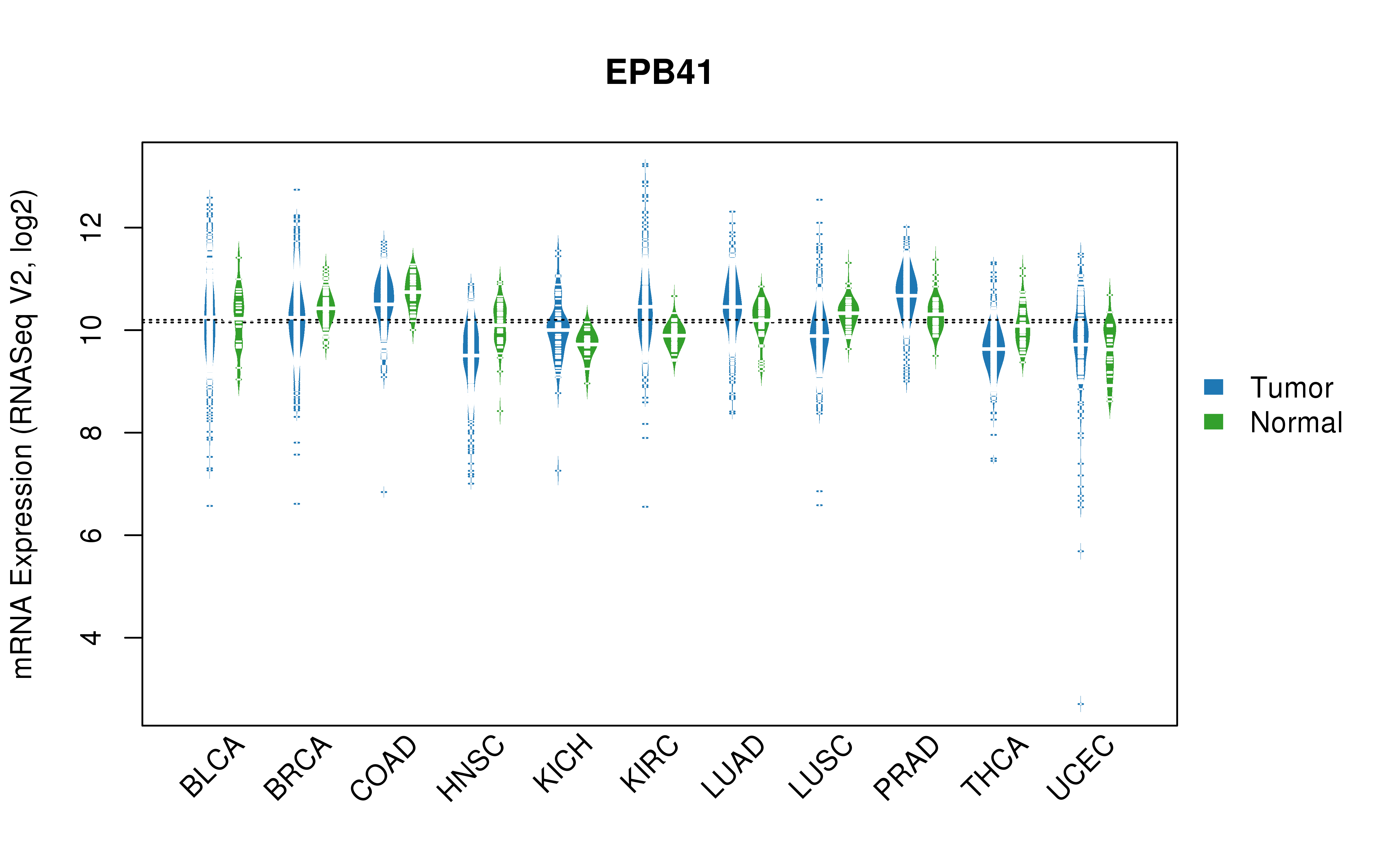 TCGA pan-cancer gene expression summary; We extracted RNASeqV2 normalized gene expression data from TCGA using the R package TCGA-Assembler. All public data files on TCGA DCC data server were gathered on Jan-05-2015.