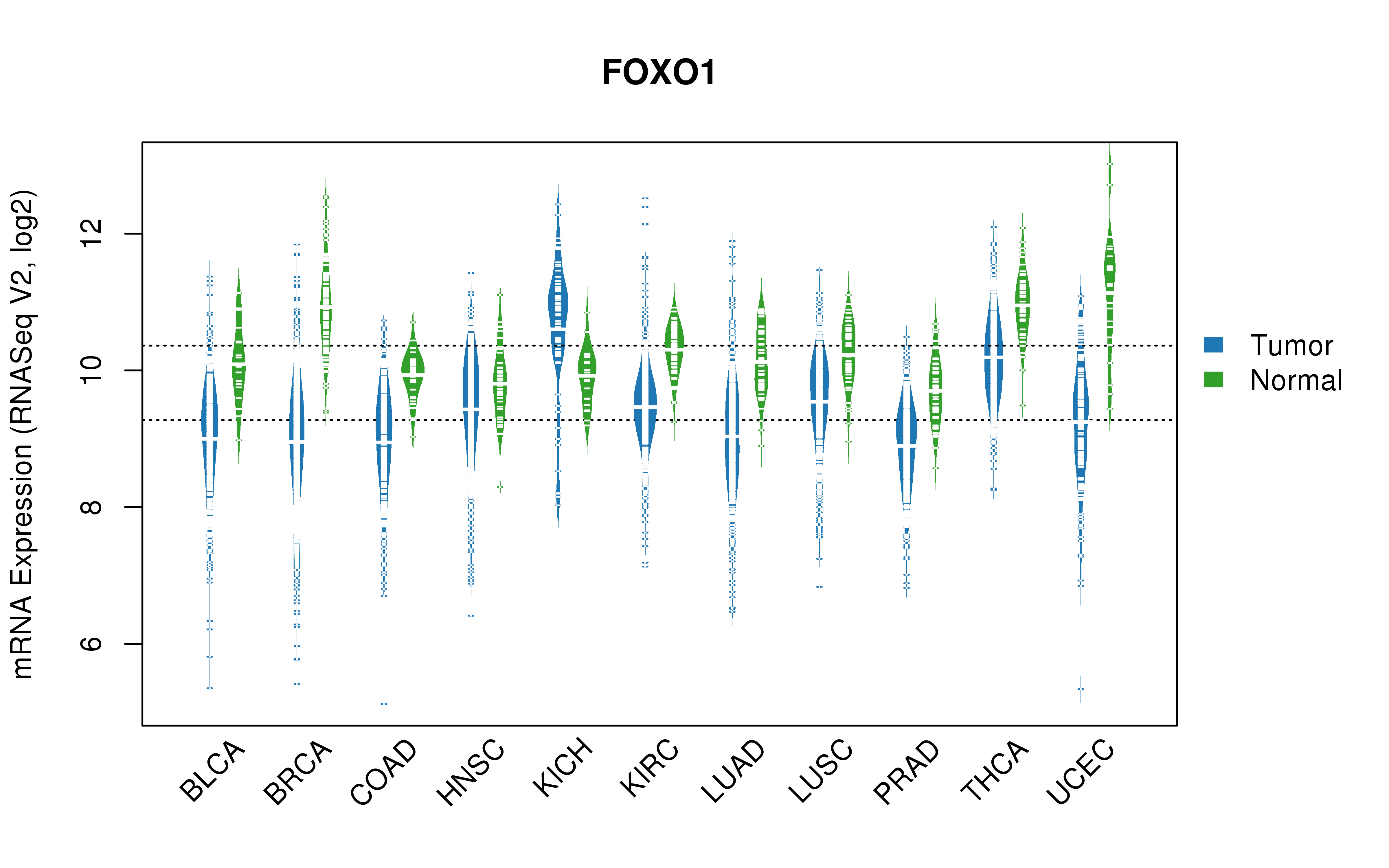 TCGA pan-cancer gene expression summary; We extracted RNASeqV2 normalized gene expression data from TCGA using the R package TCGA-Assembler. All public data files on TCGA DCC data server were gathered on Jan-05-2015.