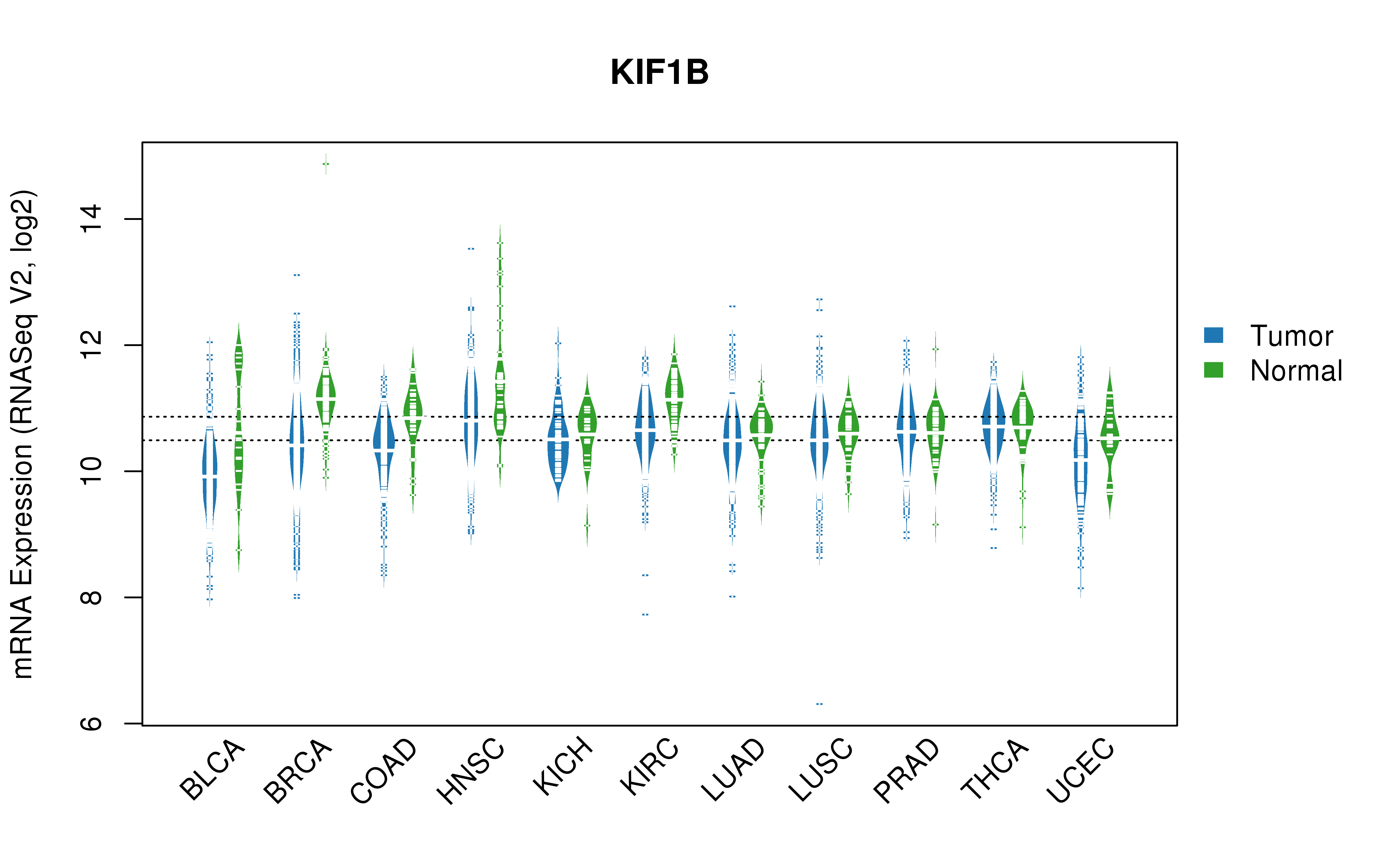 TCGA pan-cancer gene expression summary; We extracted RNASeqV2 normalized gene expression data from TCGA using the R package TCGA-Assembler. All public data files on TCGA DCC data server were gathered on Jan-05-2015.