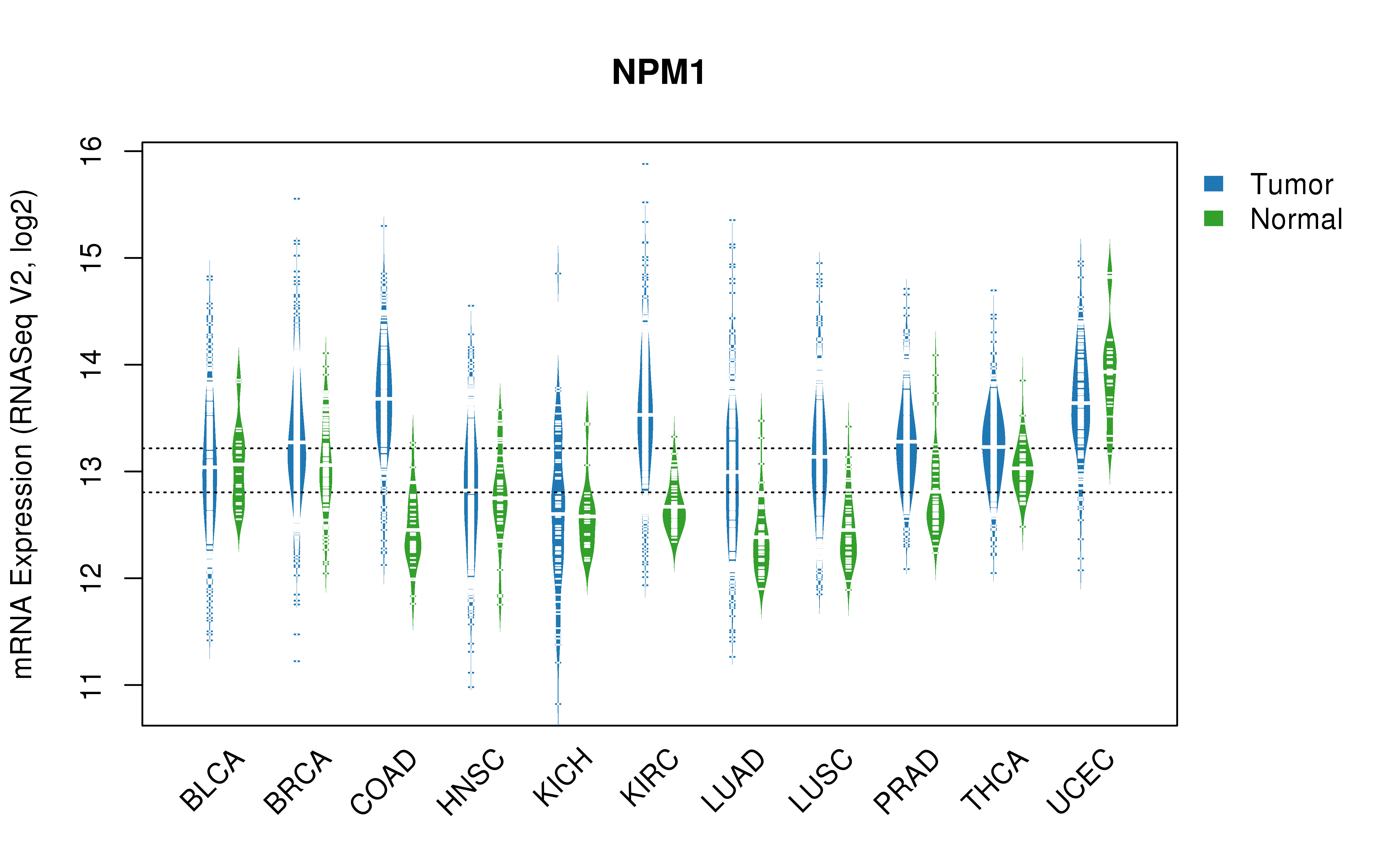 TCGA pan-cancer gene expression summary; We extracted RNASeqV2 normalized gene expression data from TCGA using the R package TCGA-Assembler. All public data files on TCGA DCC data server were gathered on Jan-05-2015.