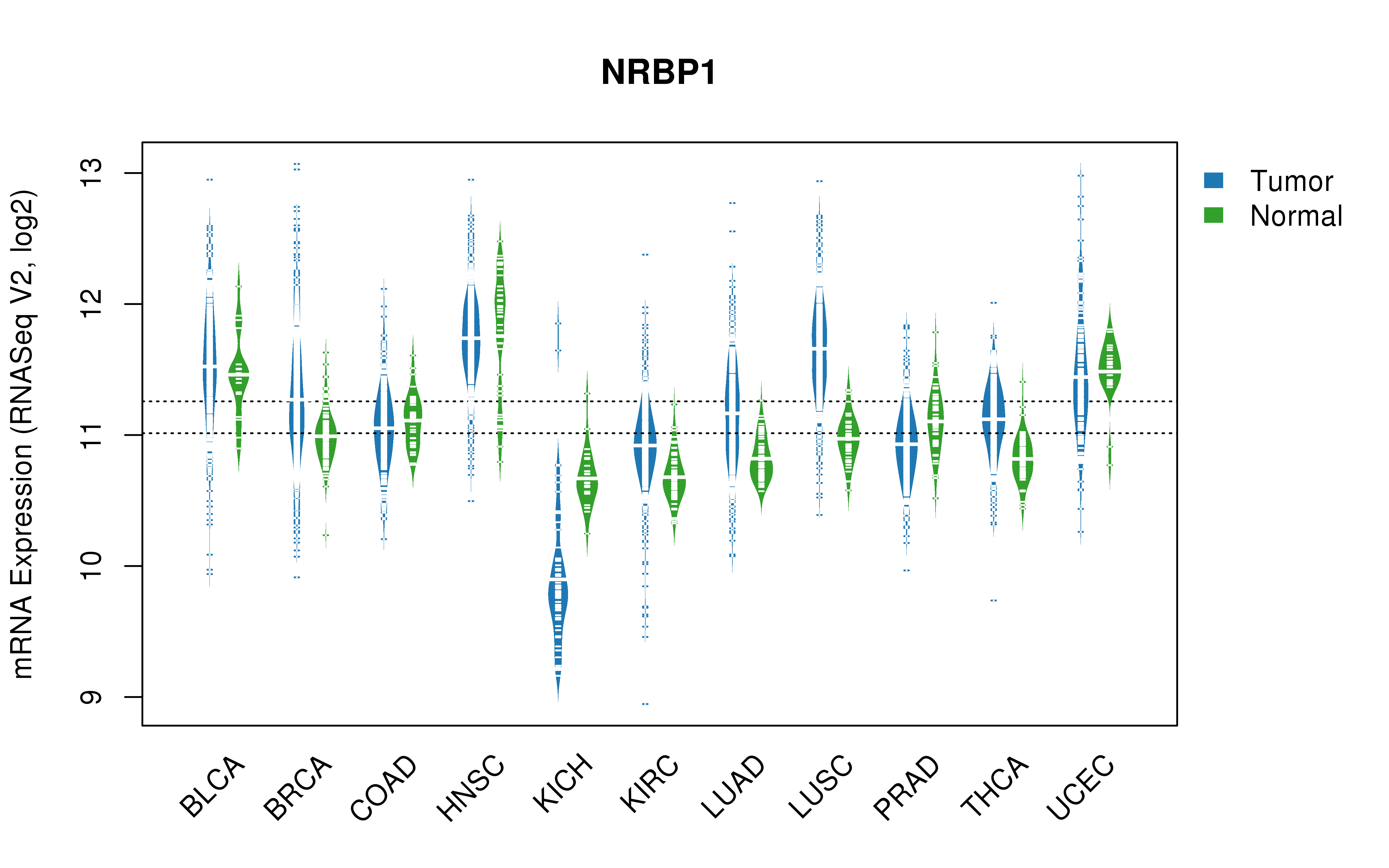 TCGA pan-cancer gene expression summary; We extracted RNASeqV2 normalized gene expression data from TCGA using the R package TCGA-Assembler. All public data files on TCGA DCC data server were gathered on Jan-05-2015.