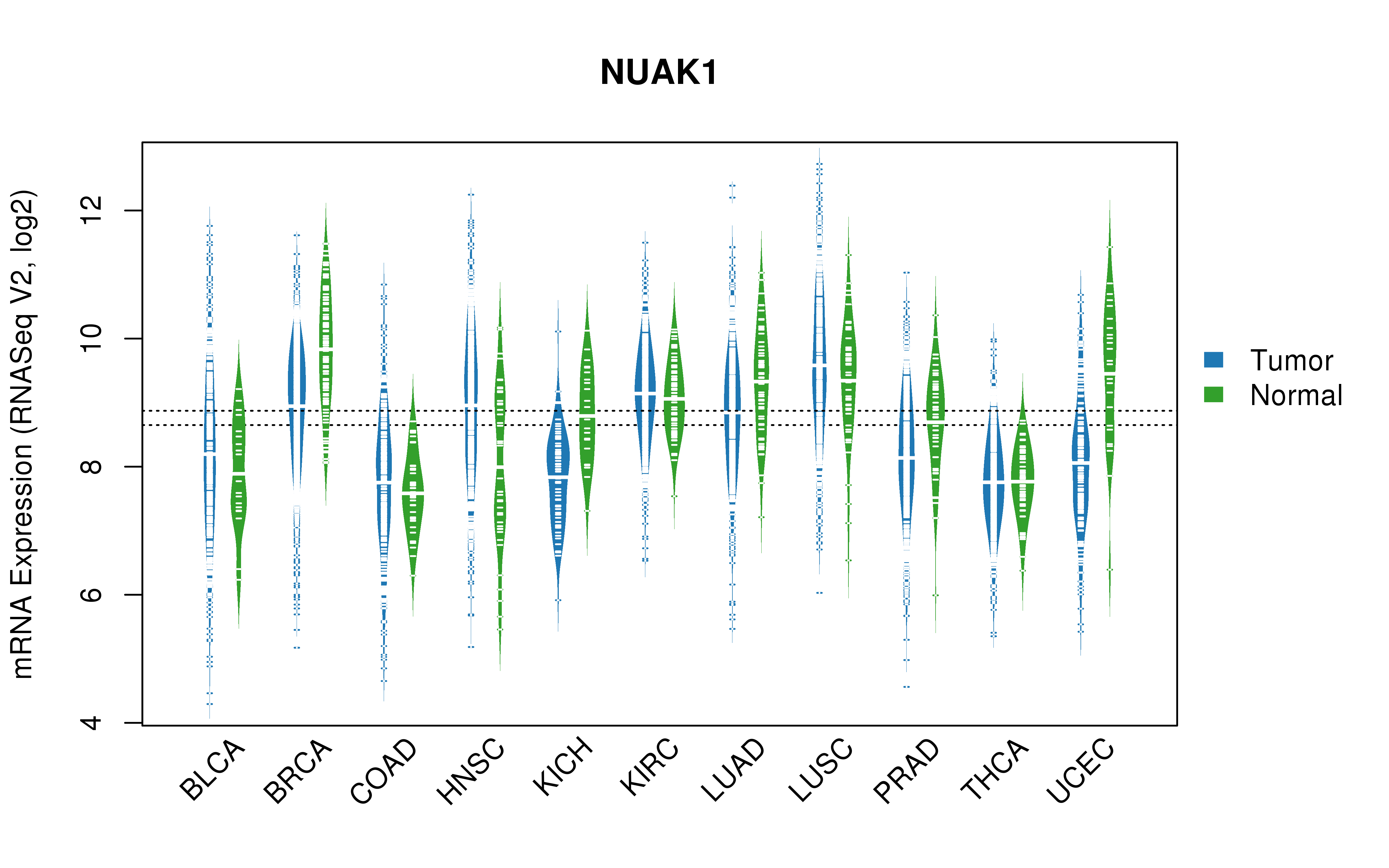 TCGA pan-cancer gene expression summary; We extracted RNASeqV2 normalized gene expression data from TCGA using the R package TCGA-Assembler. All public data files on TCGA DCC data server were gathered on Jan-05-2015.