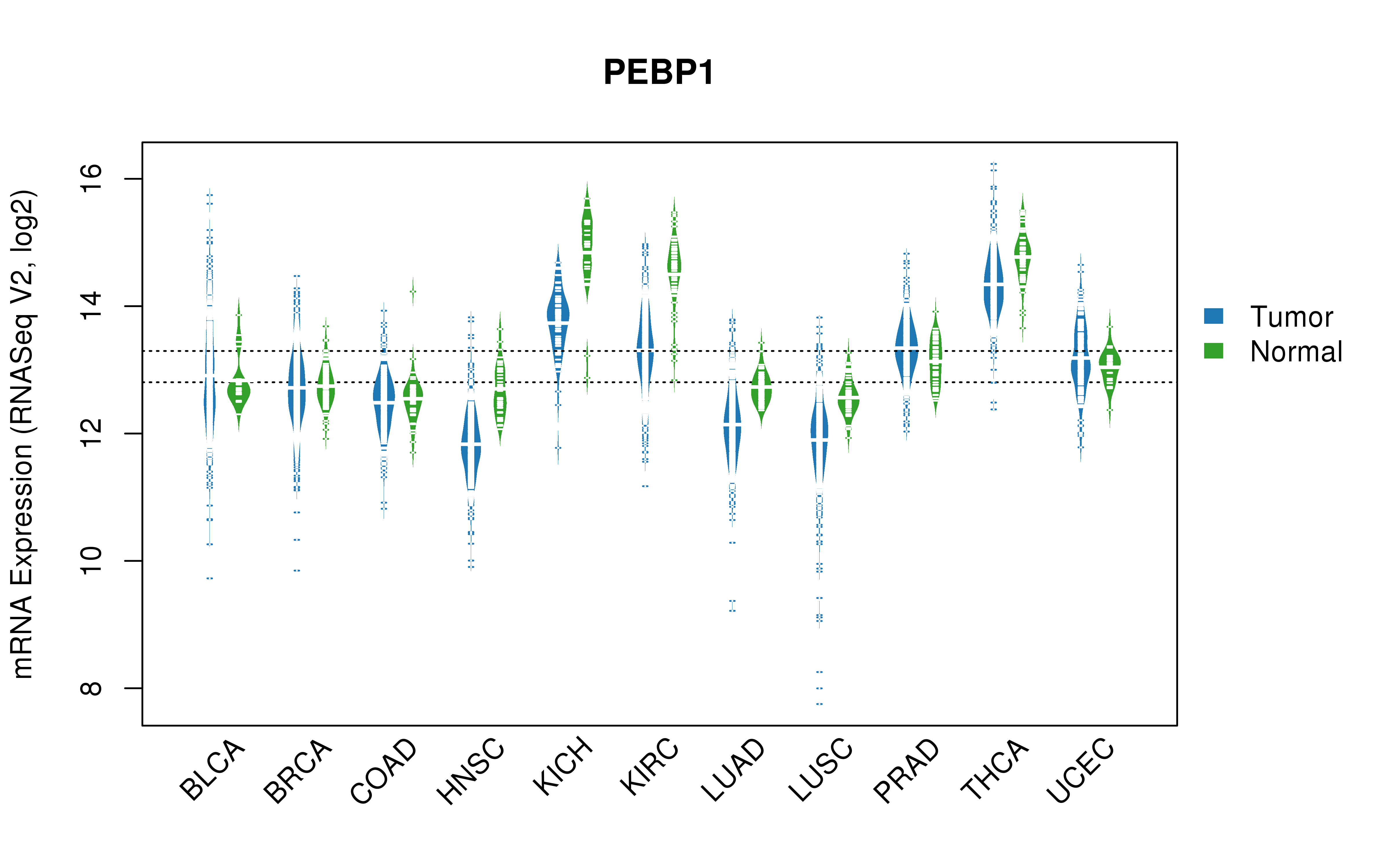 TCGA pan-cancer gene expression summary; We extracted RNASeqV2 normalized gene expression data from TCGA using the R package TCGA-Assembler. All public data files on TCGA DCC data server were gathered on Jan-05-2015.