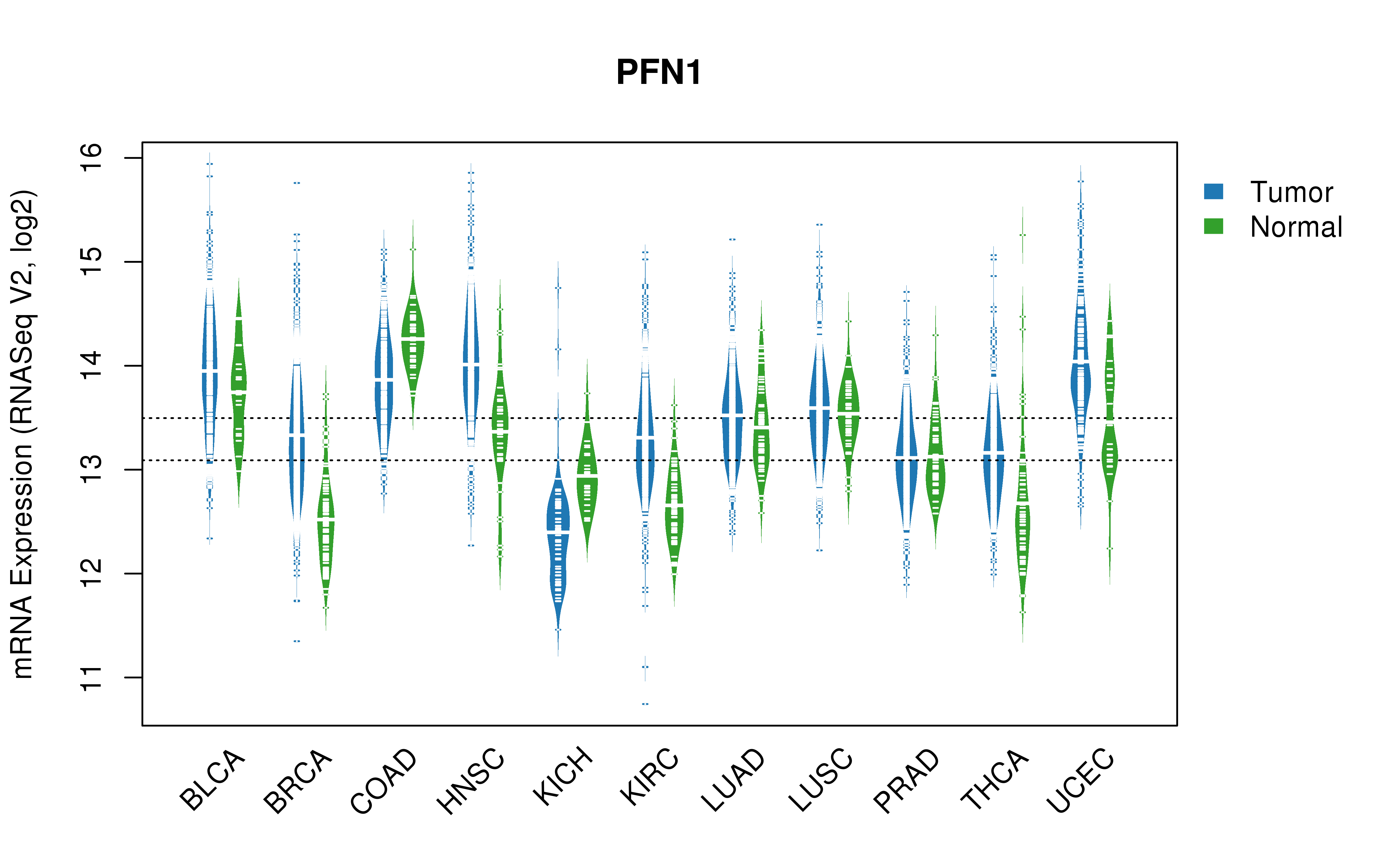 TCGA pan-cancer gene expression summary; We extracted RNASeqV2 normalized gene expression data from TCGA using the R package TCGA-Assembler. All public data files on TCGA DCC data server were gathered on Jan-05-2015.