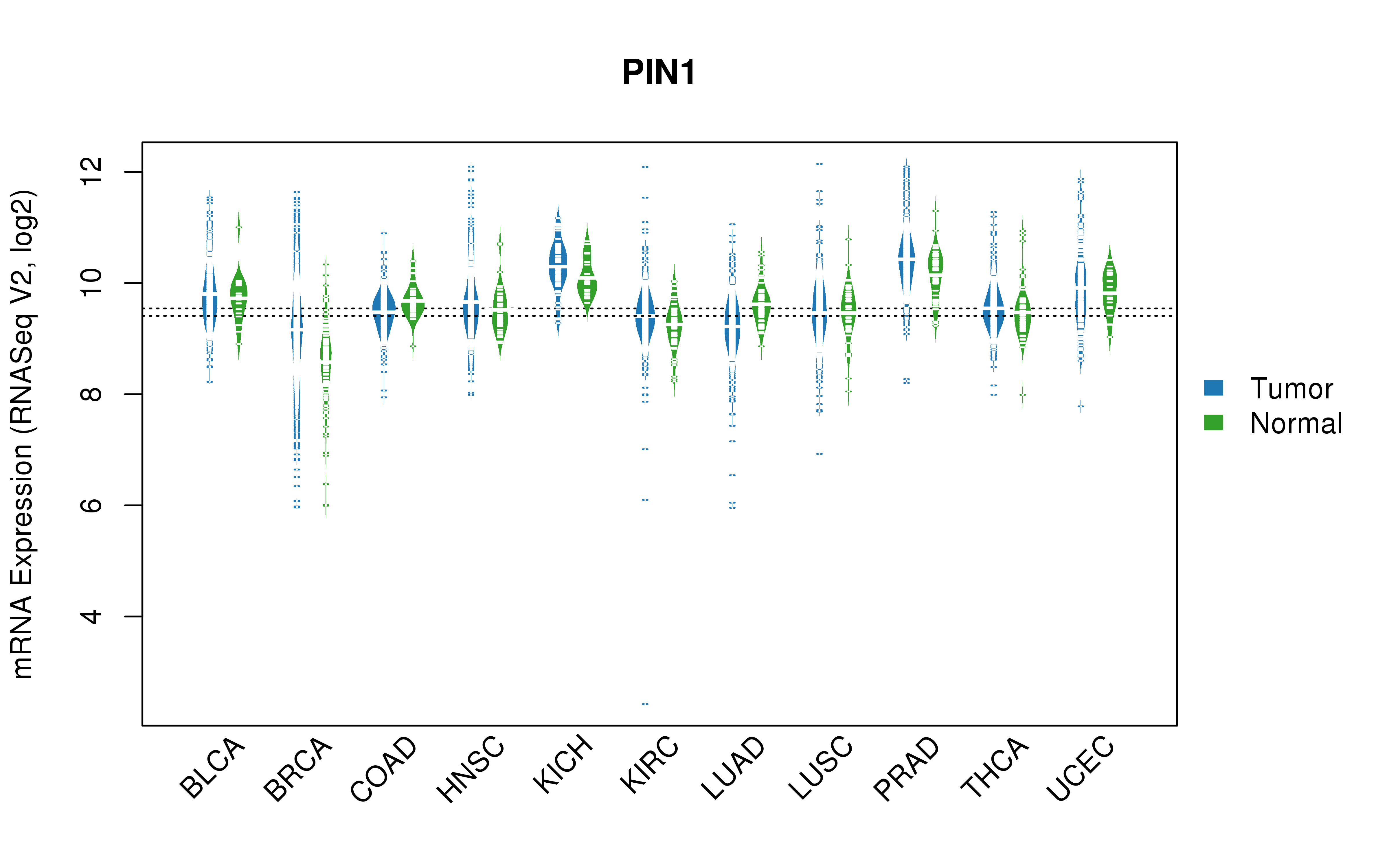 TCGA pan-cancer gene expression summary; We extracted RNASeqV2 normalized gene expression data from TCGA using the R package TCGA-Assembler. All public data files on TCGA DCC data server were gathered on Jan-05-2015.