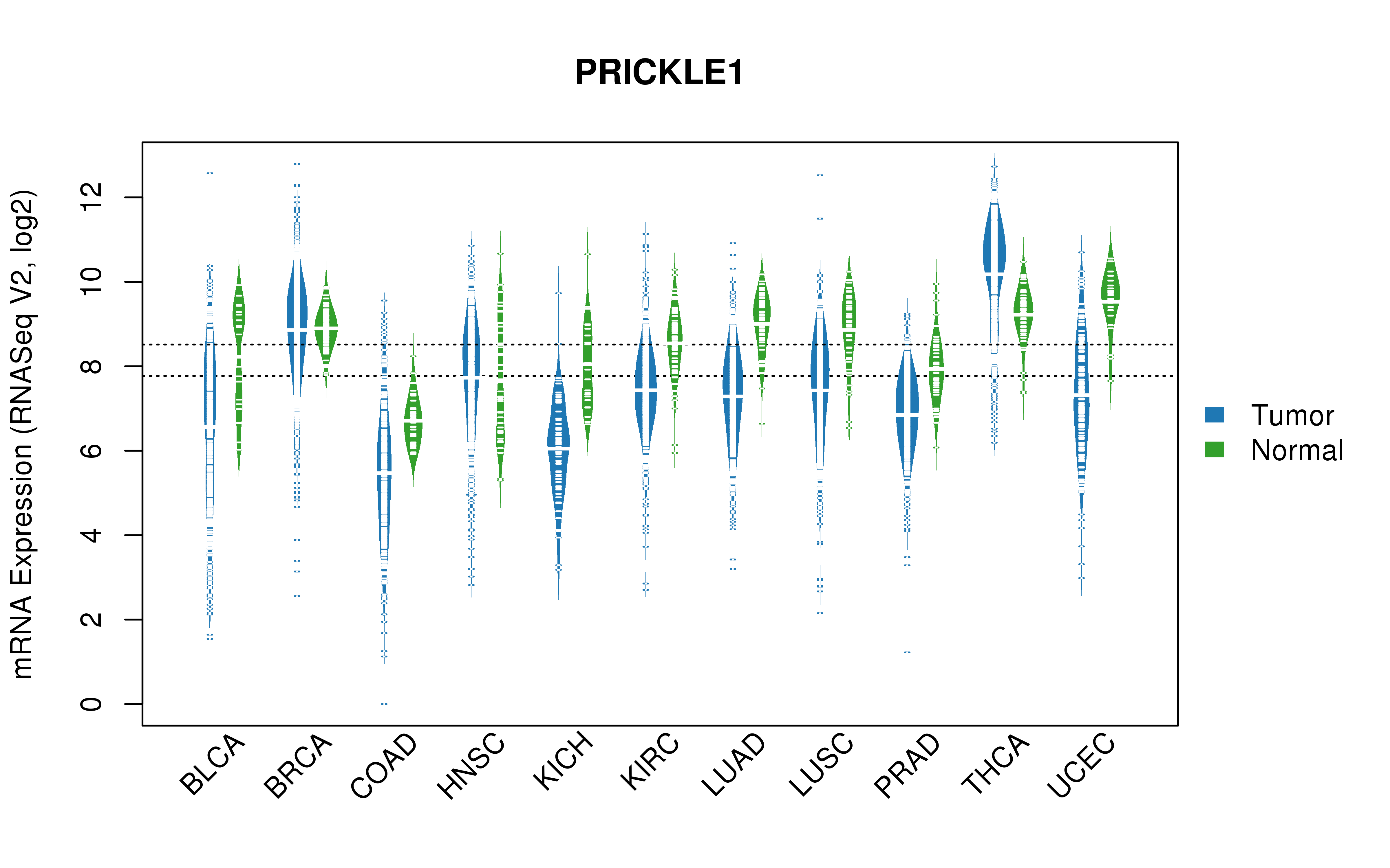 TCGA pan-cancer gene expression summary; We extracted RNASeqV2 normalized gene expression data from TCGA using the R package TCGA-Assembler. All public data files on TCGA DCC data server were gathered on Jan-05-2015.