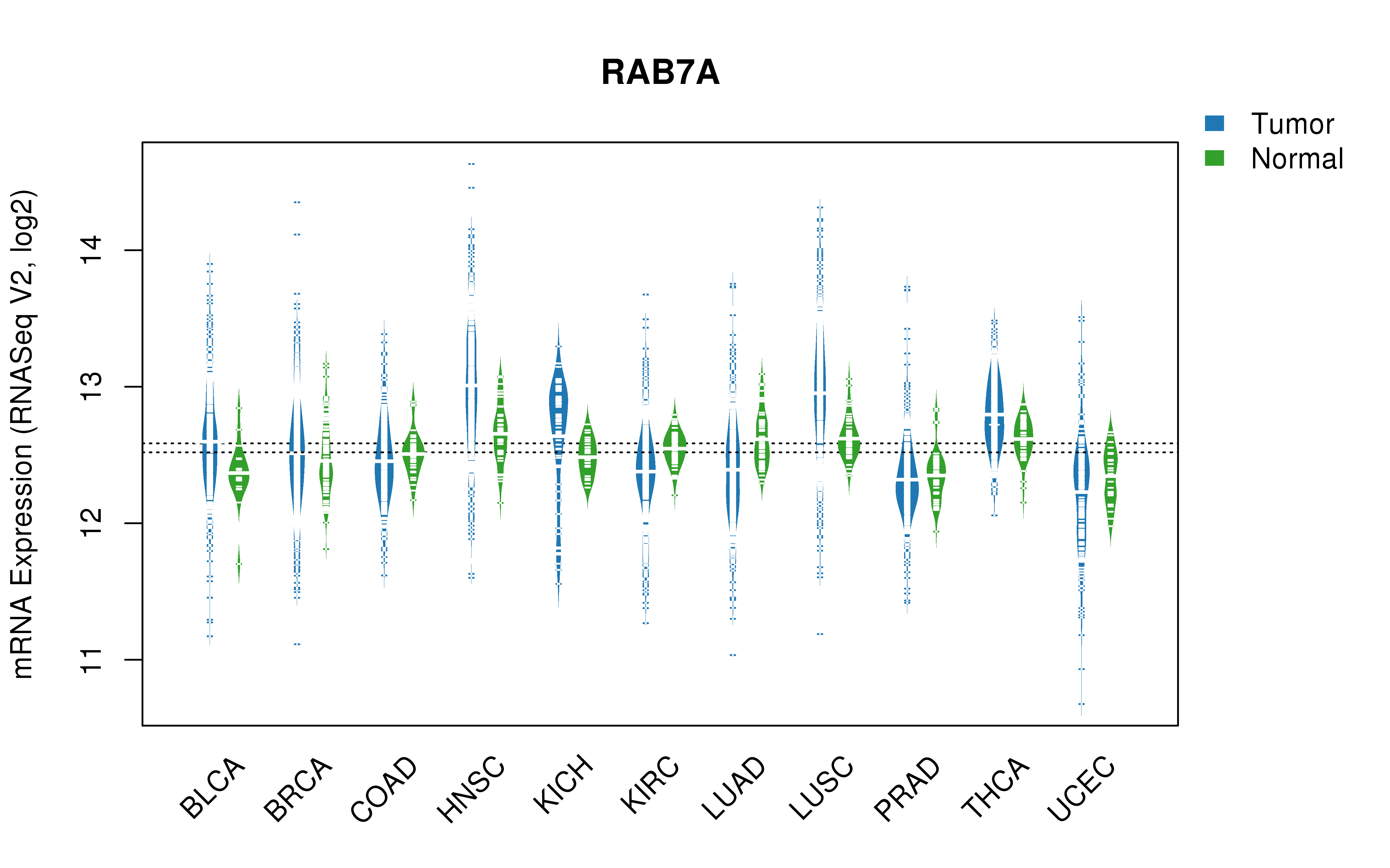 TCGA pan-cancer gene expression summary; We extracted RNASeqV2 normalized gene expression data from TCGA using the R package TCGA-Assembler. All public data files on TCGA DCC data server were gathered on Jan-05-2015.