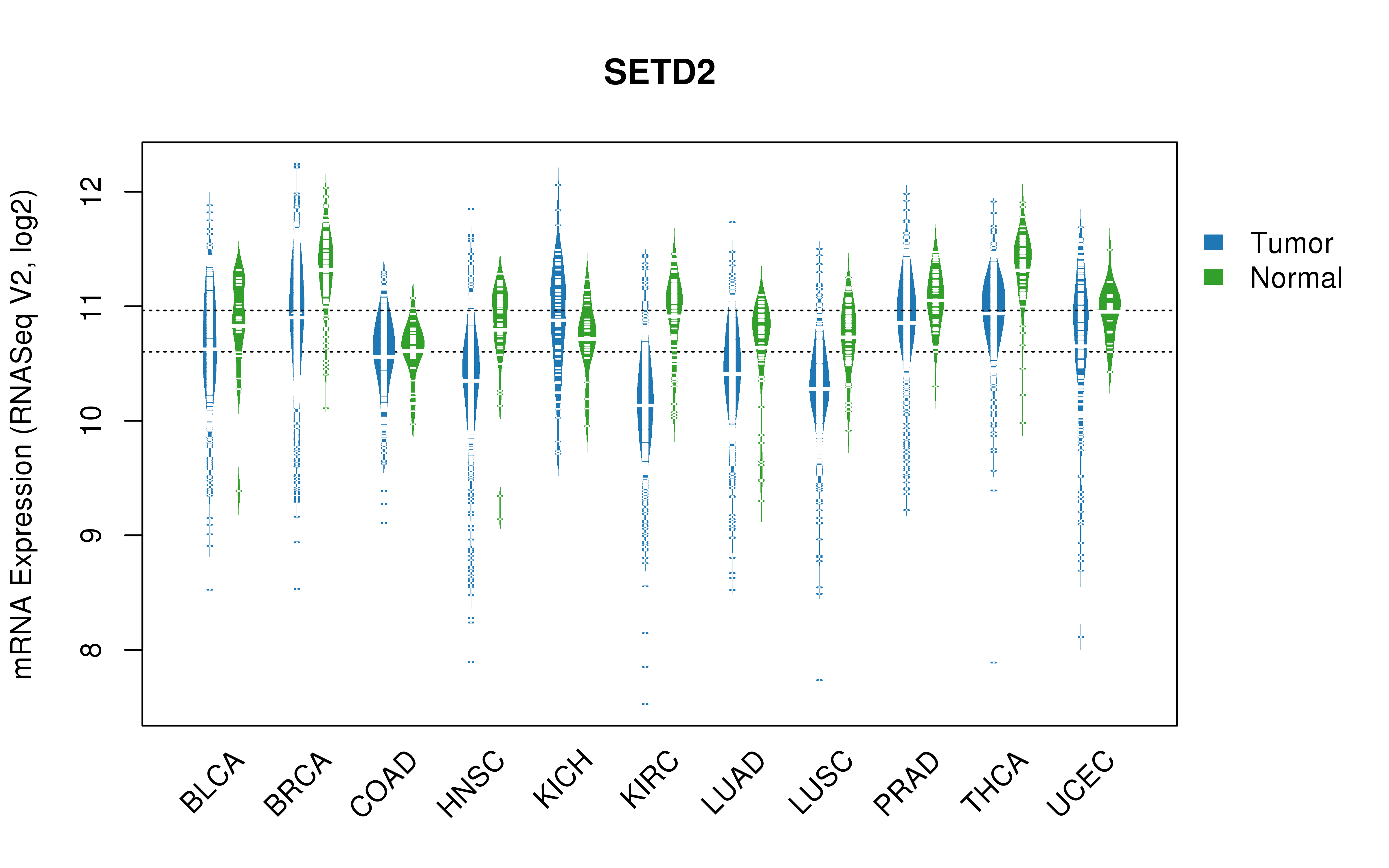 TCGA pan-cancer gene expression summary; We extracted RNASeqV2 normalized gene expression data from TCGA using the R package TCGA-Assembler. All public data files on TCGA DCC data server were gathered on Jan-05-2015.