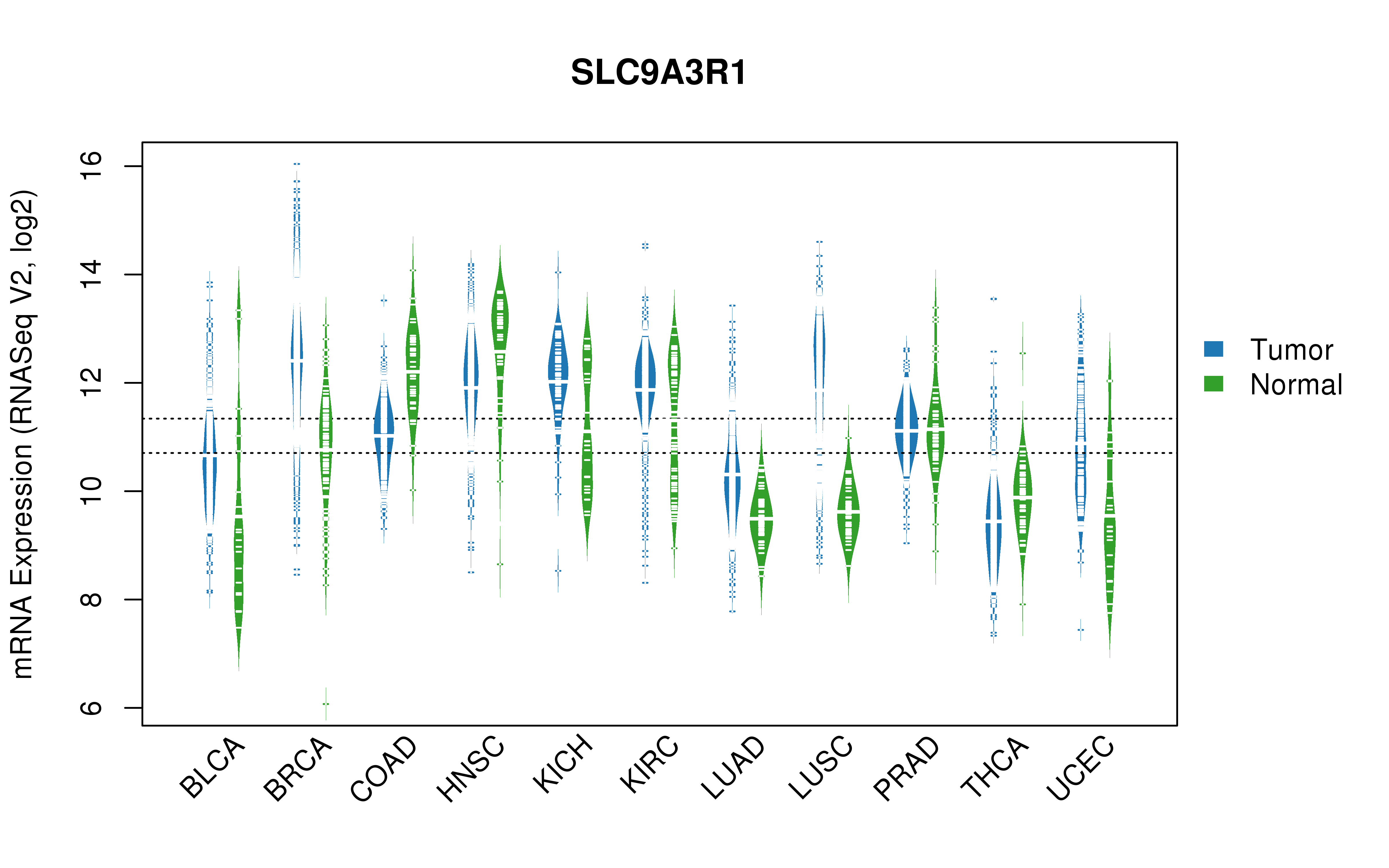 TCGA pan-cancer gene expression summary; We extracted RNASeqV2 normalized gene expression data from TCGA using the R package TCGA-Assembler. All public data files on TCGA DCC data server were gathered on Jan-05-2015.