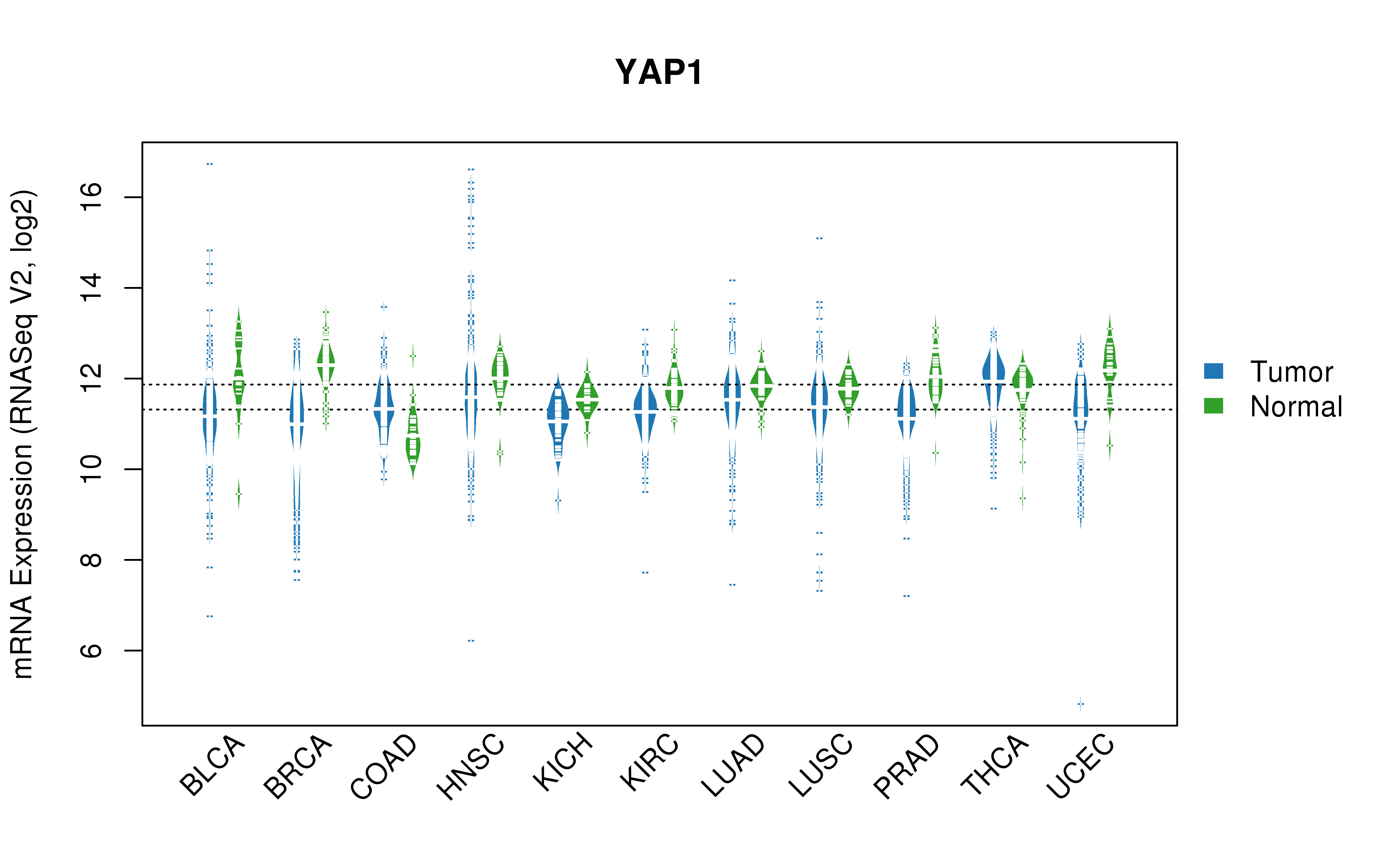 TCGA pan-cancer gene expression summary; We extracted RNASeqV2 normalized gene expression data from TCGA using the R package TCGA-Assembler. All public data files on TCGA DCC data server were gathered on Jan-05-2015.