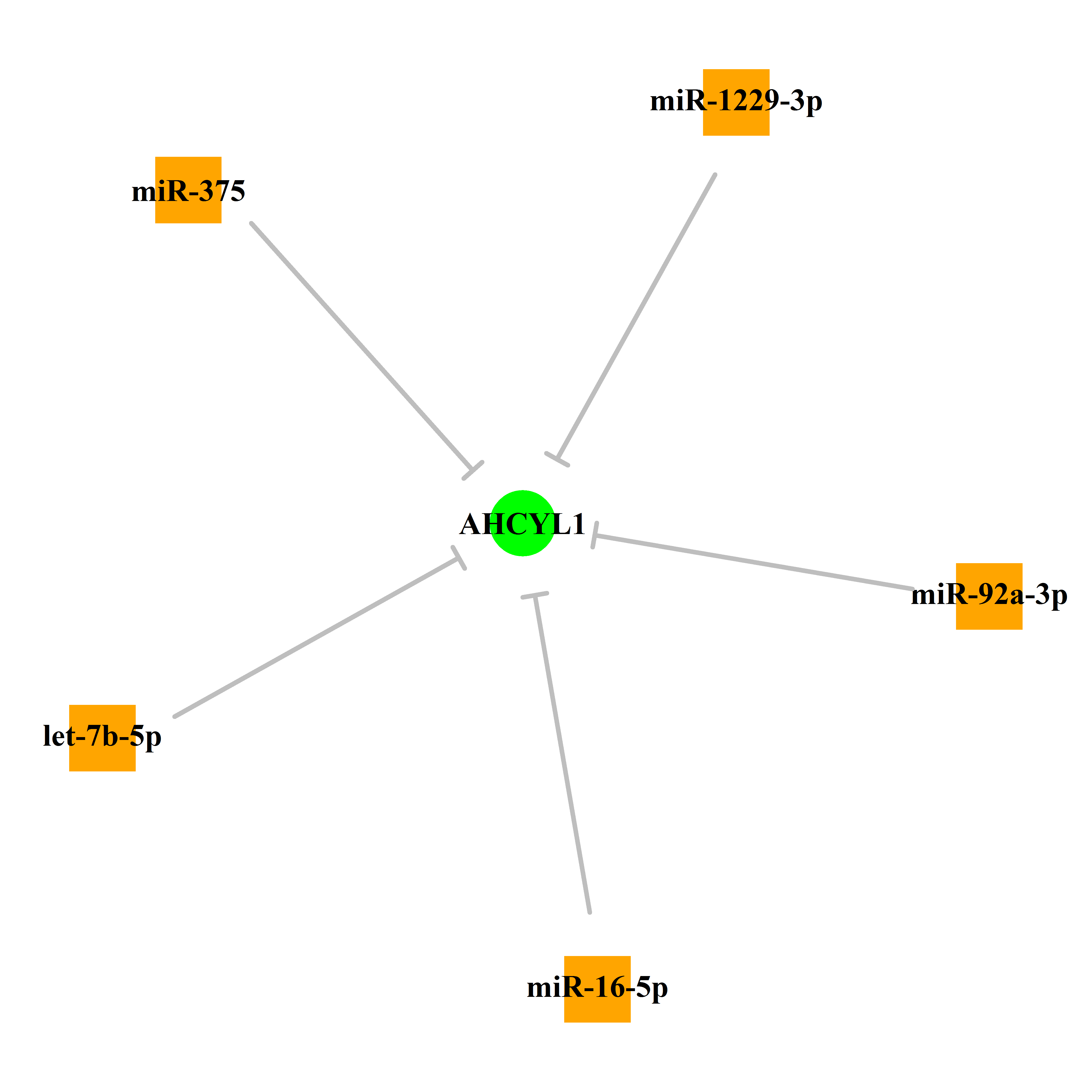 Experimentally validated miRNA-TS gene regulation information.