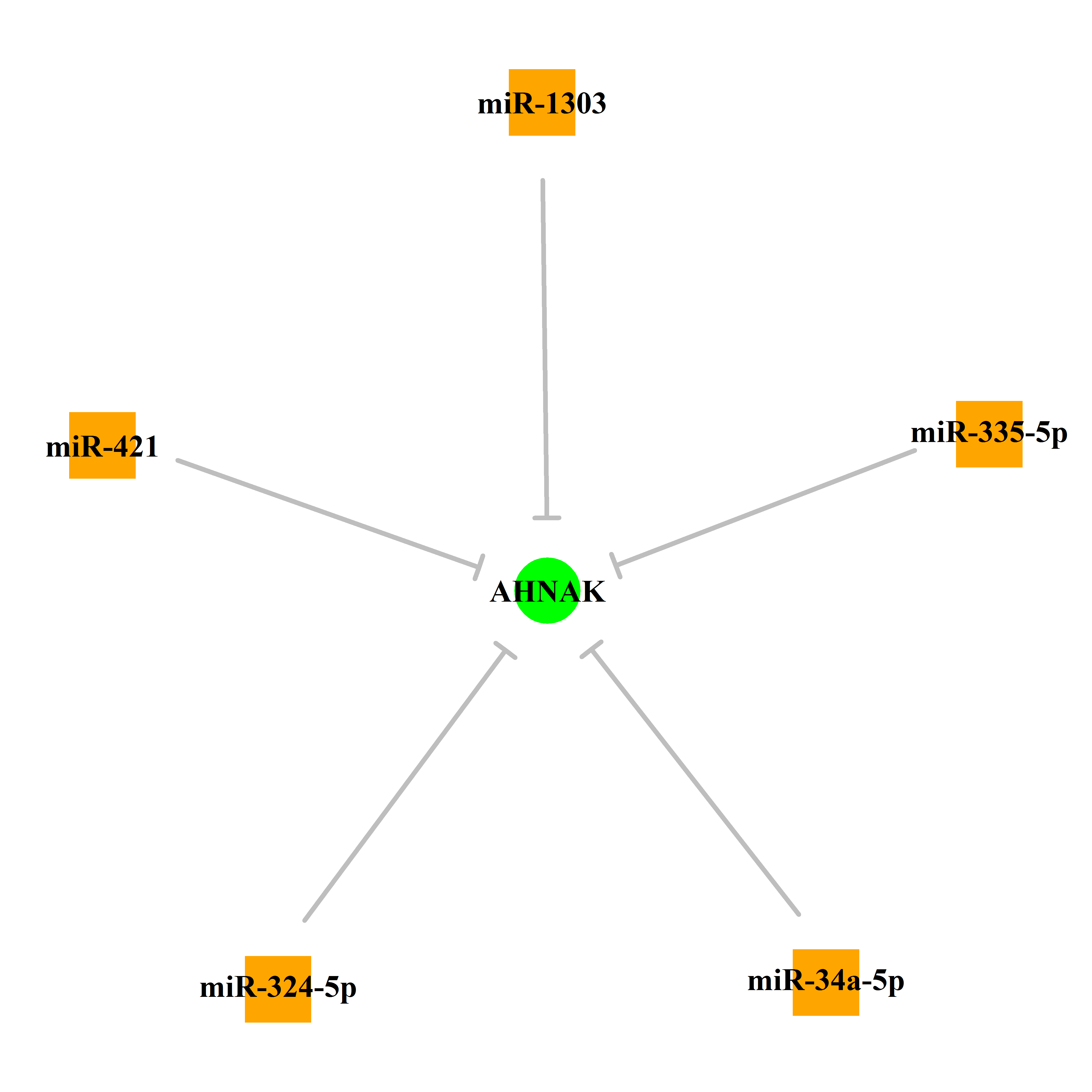 Experimentally validated miRNA-TS gene regulation information.