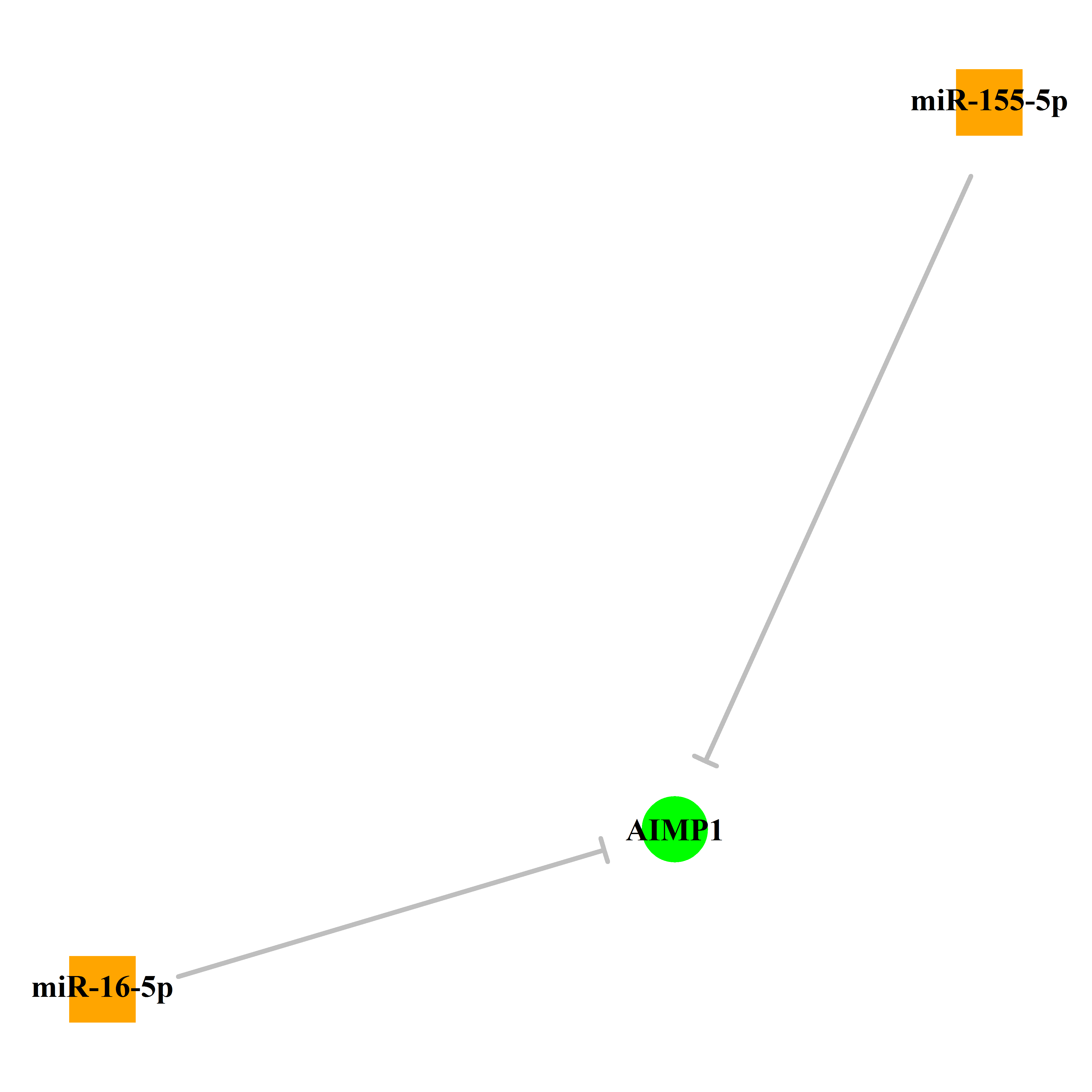 Experimentally validated miRNA-TS gene regulation information.