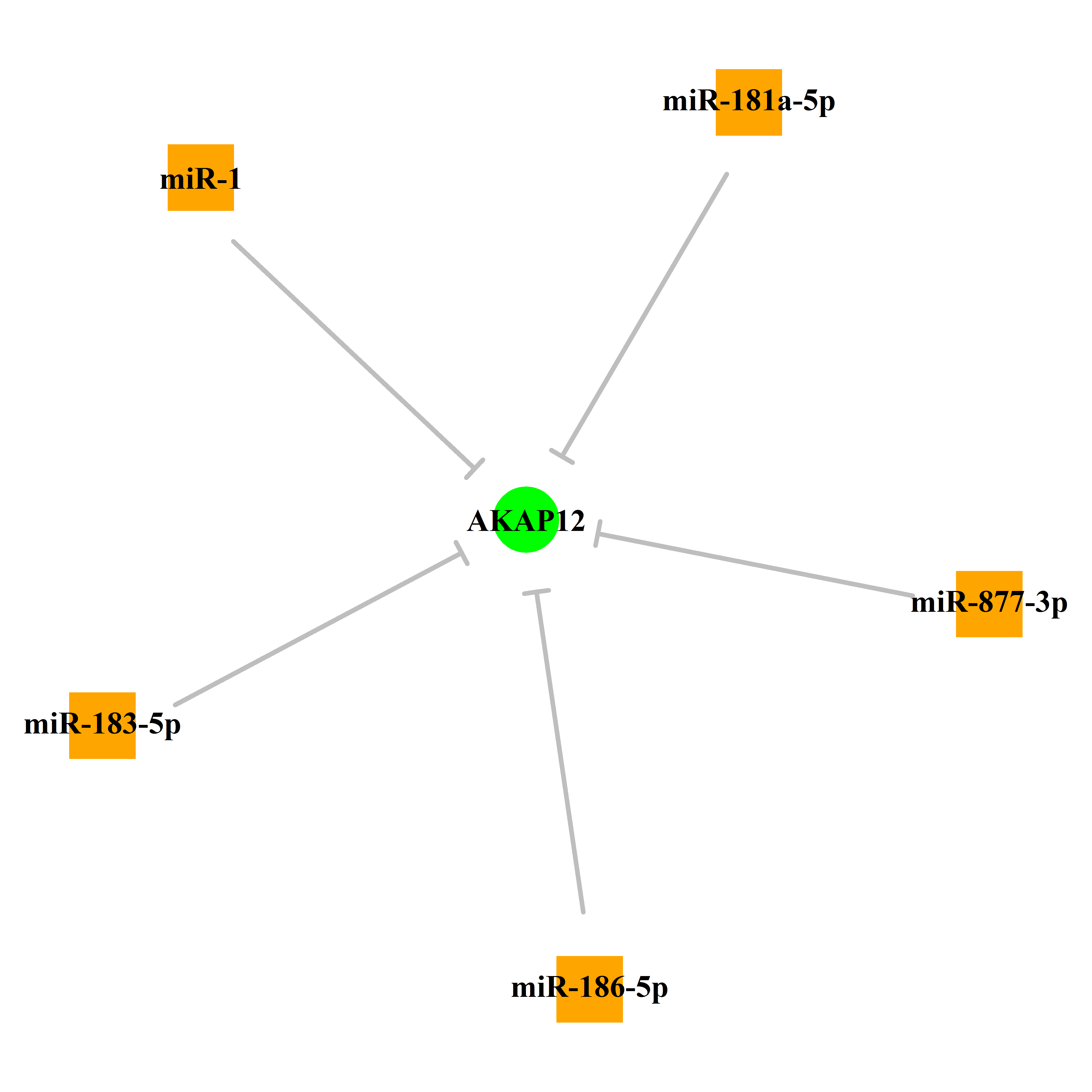 Experimentally validated miRNA-TS gene regulation information.