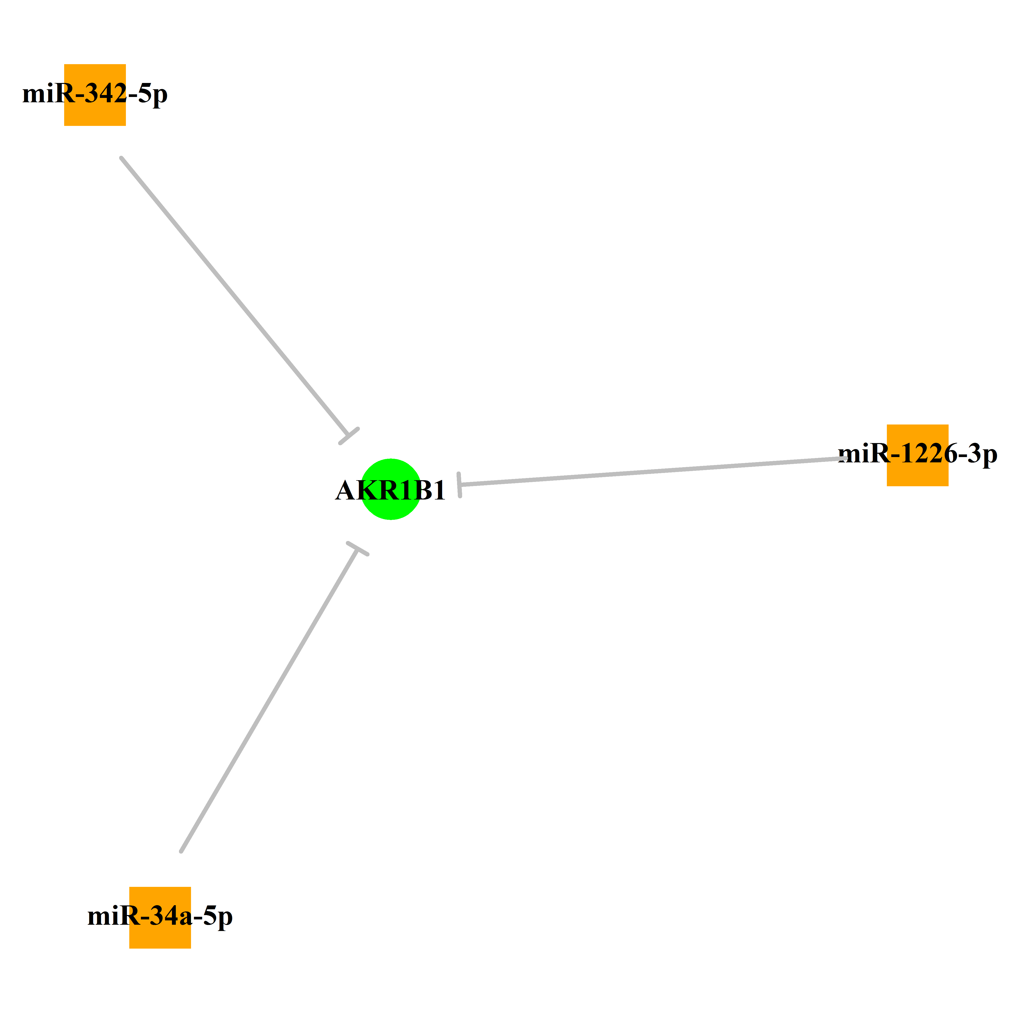 Experimentally validated miRNA-TS gene regulation information.