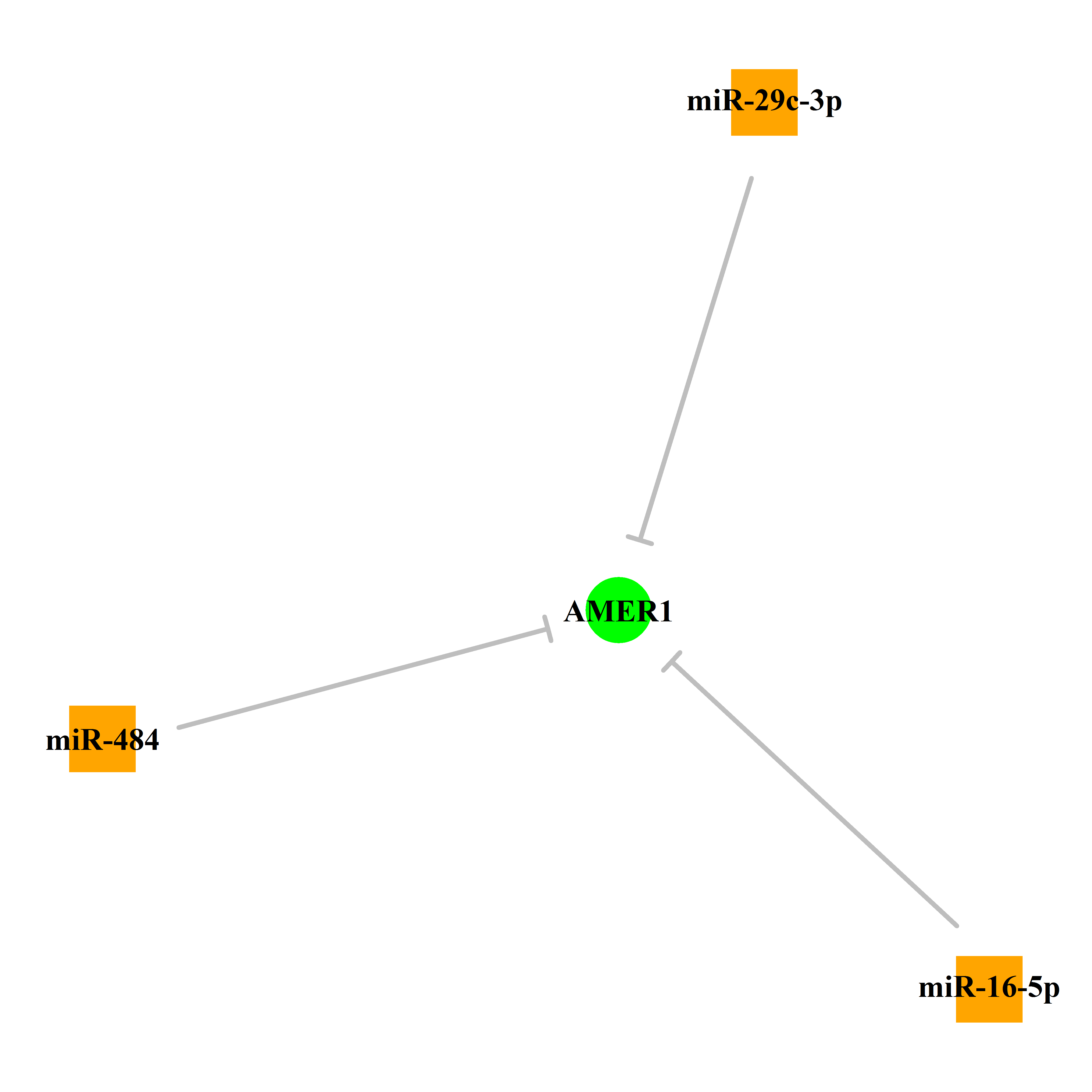 Experimentally validated miRNA-TS gene regulation information.