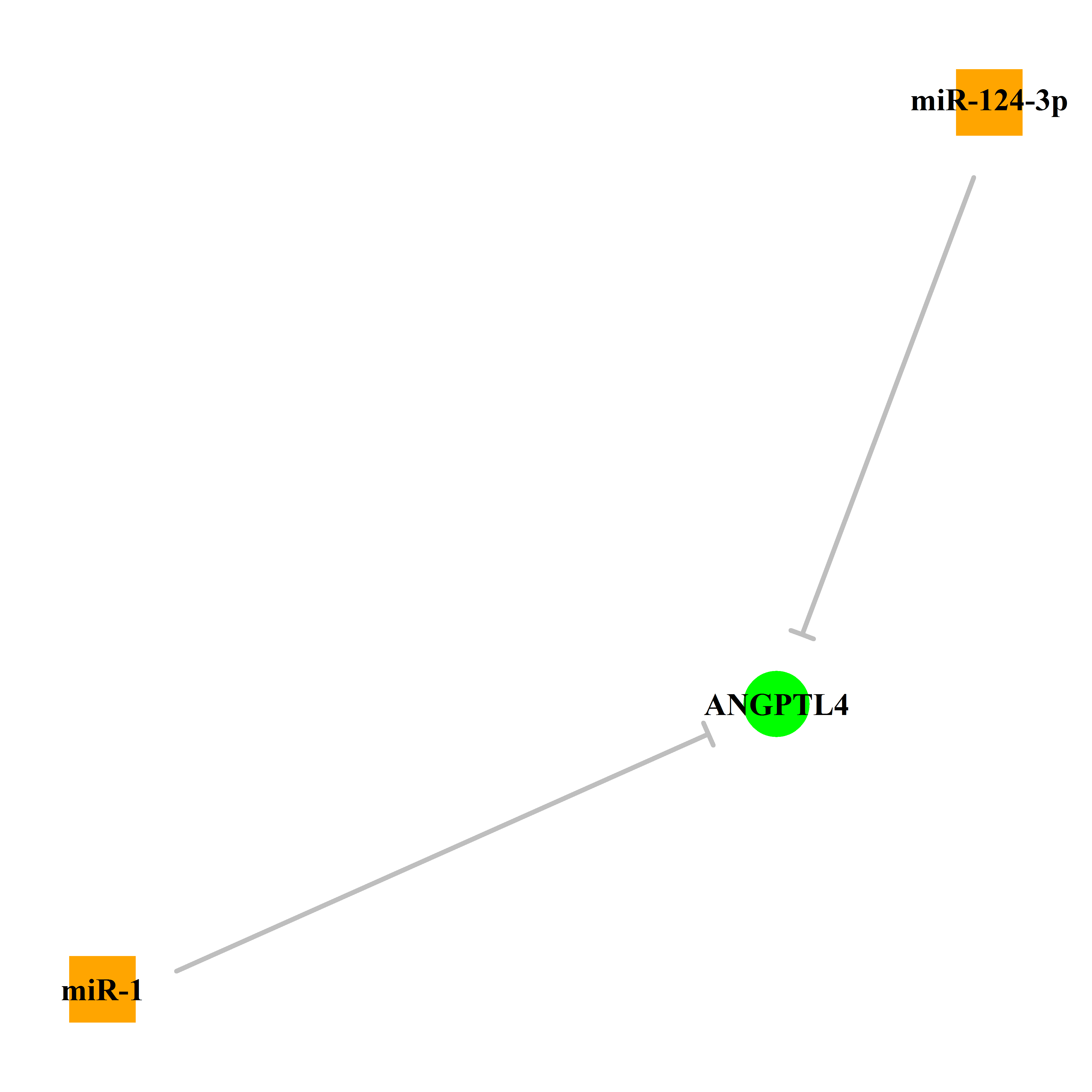 Experimentally validated miRNA-TS gene regulation information.