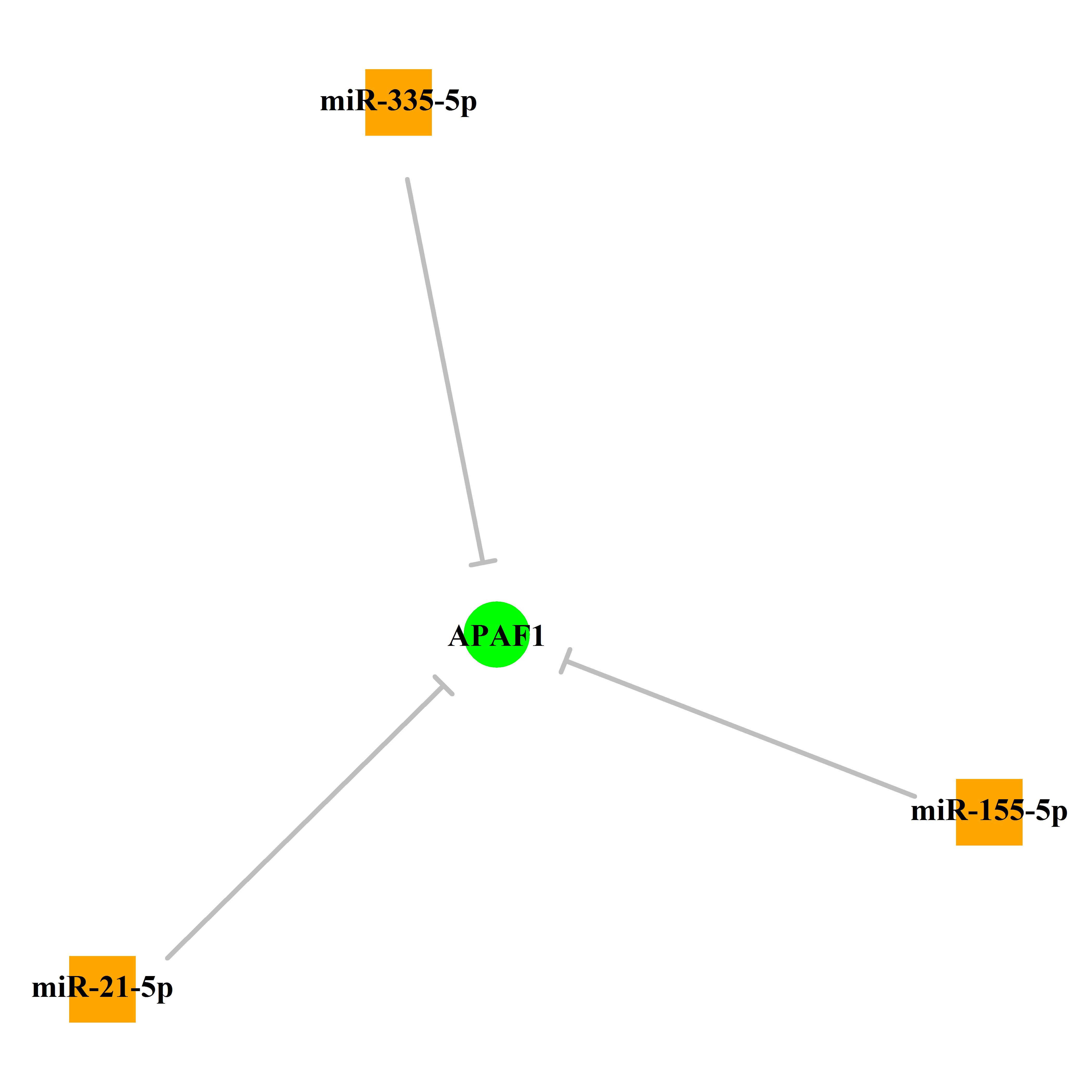 Experimentally validated miRNA-TS gene regulation information.