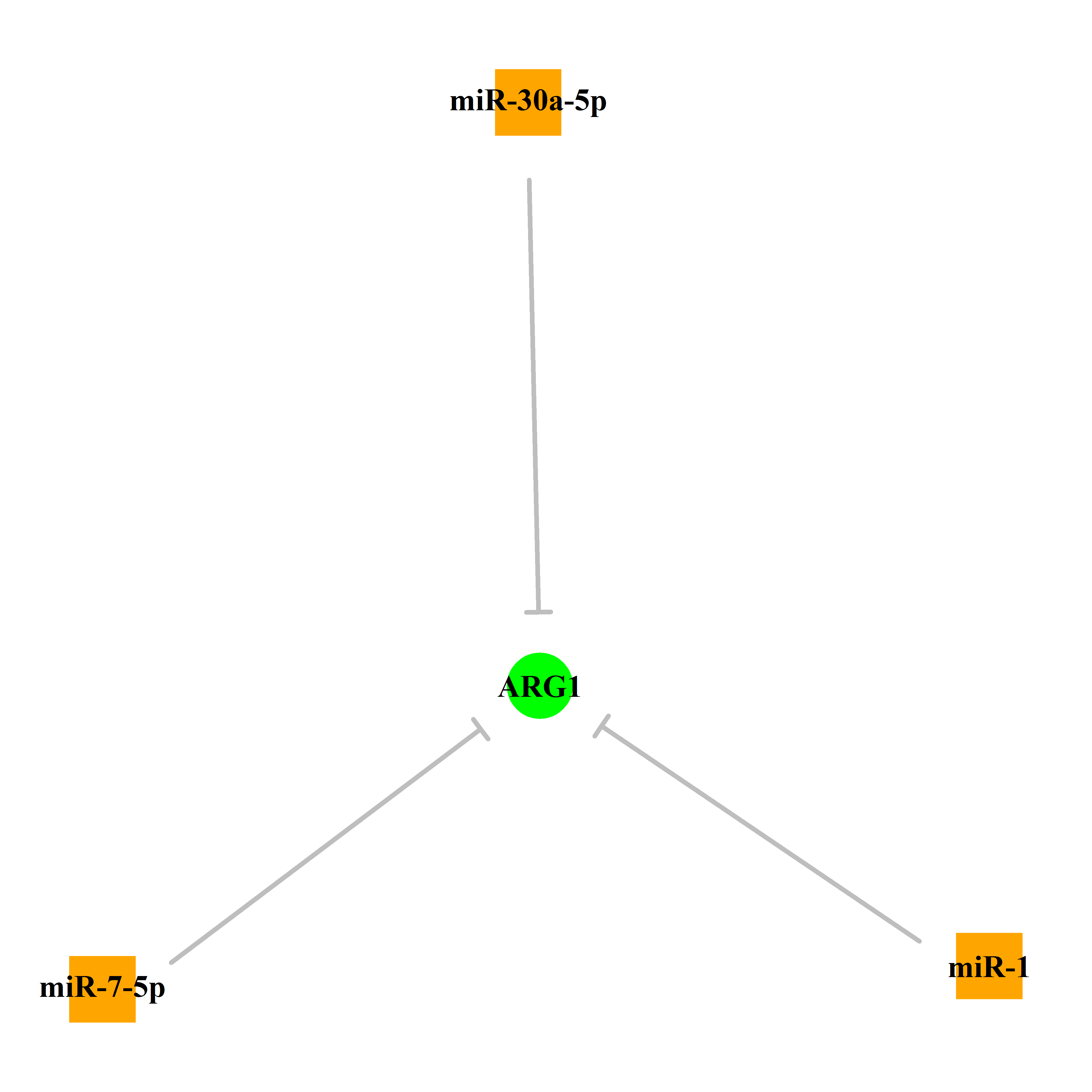 Experimentally validated miRNA-TS gene regulation information.