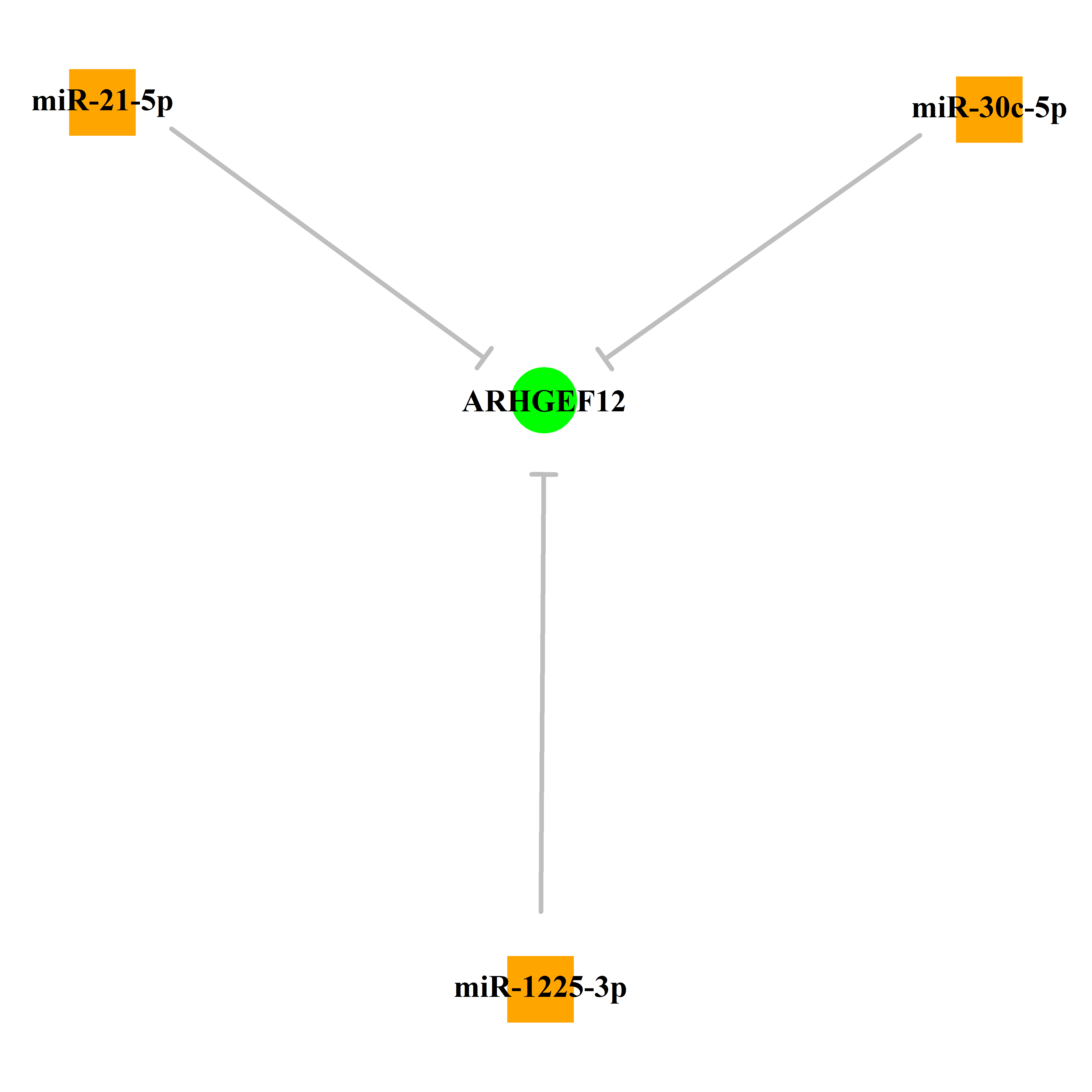 Experimentally validated miRNA-TS gene regulation information.