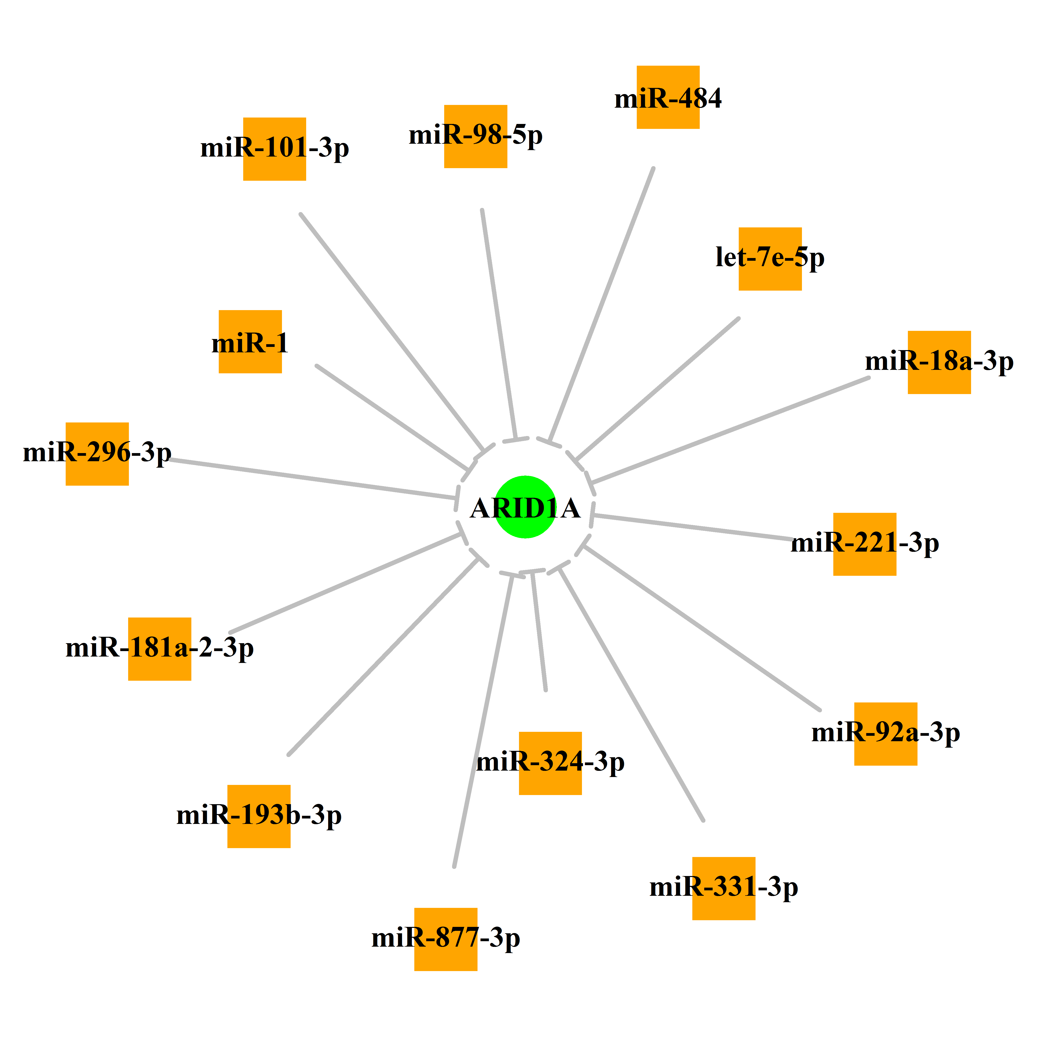 Experimentally validated miRNA-TS gene regulation information.