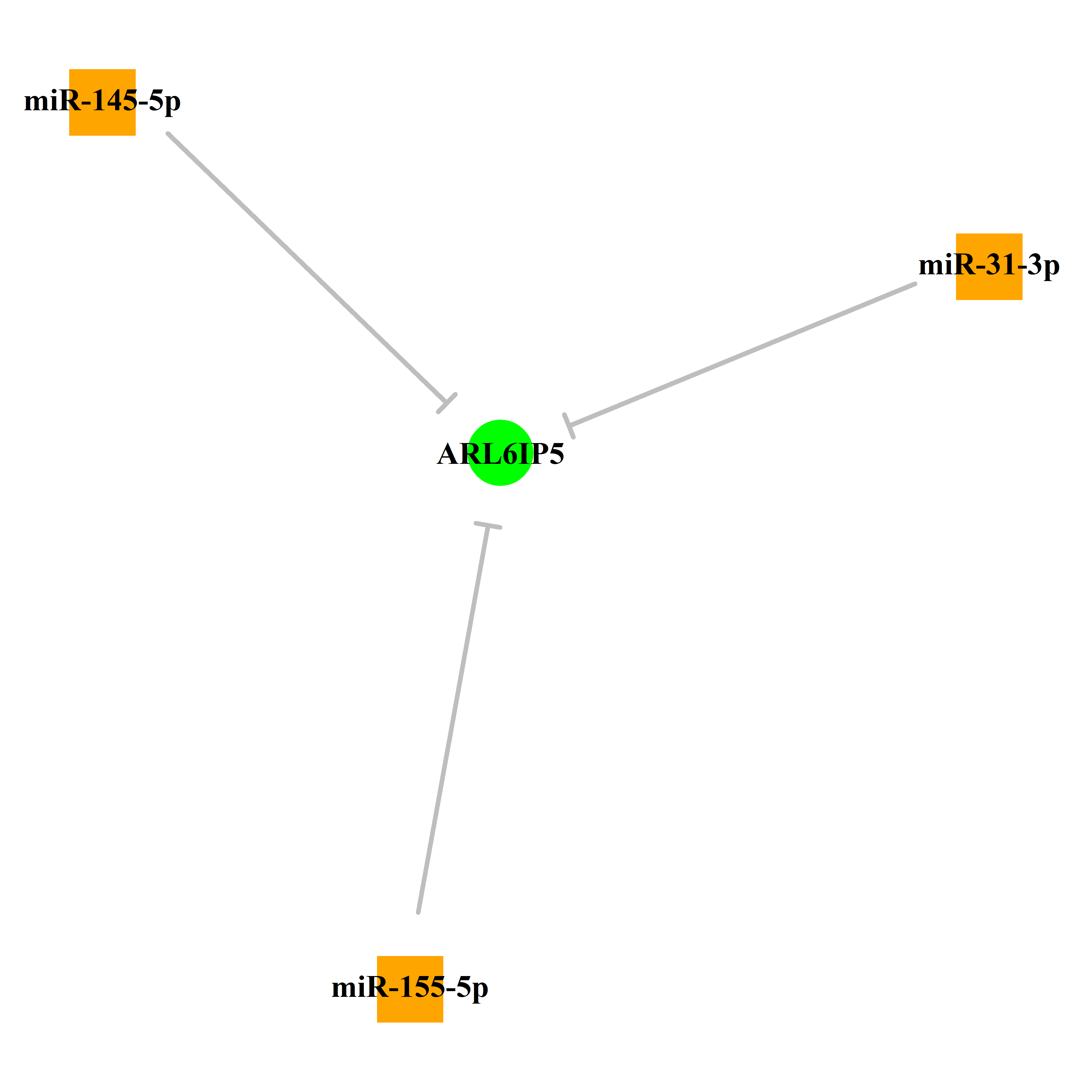 Experimentally validated miRNA-TS gene regulation information.