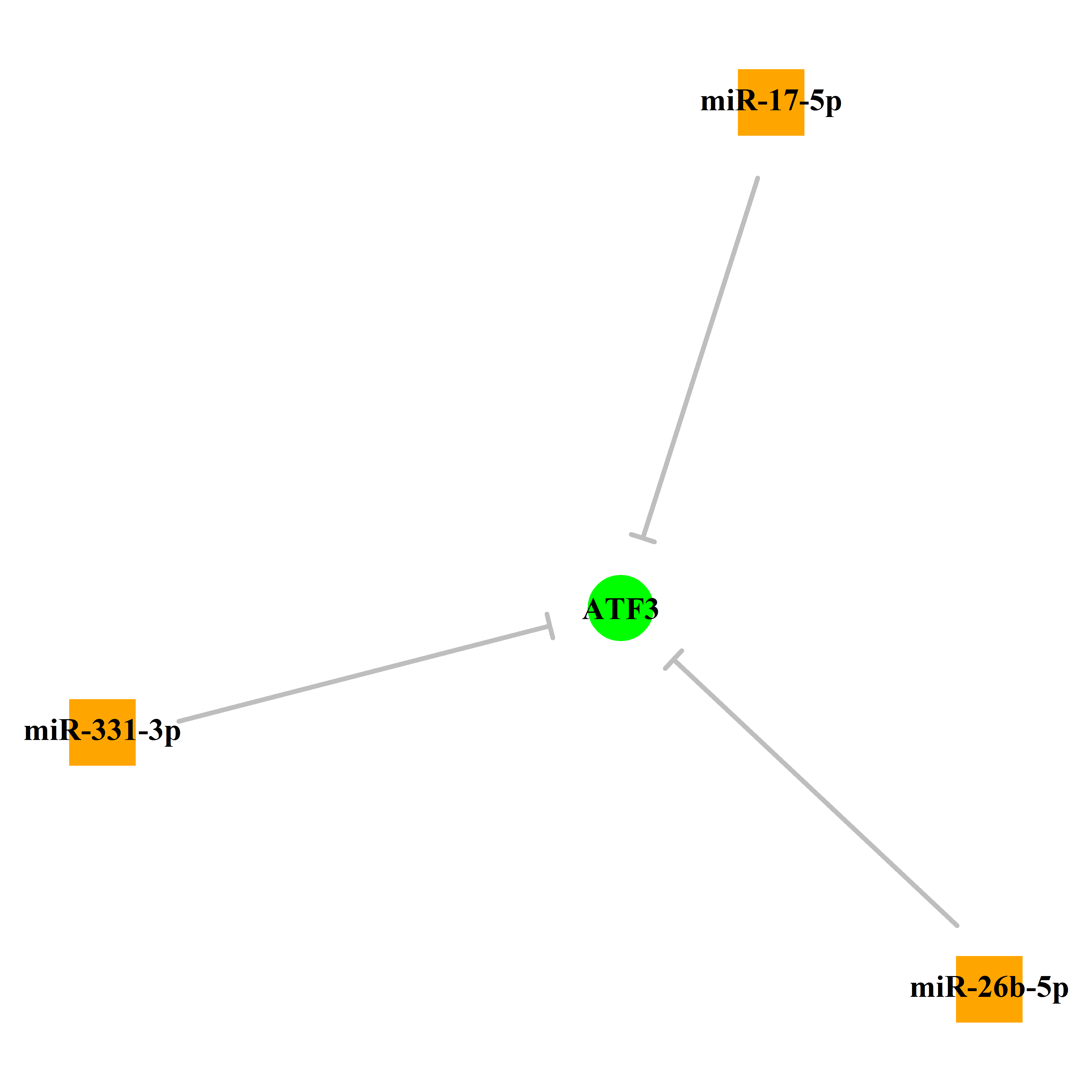 Experimentally validated miRNA-TS gene regulation information.