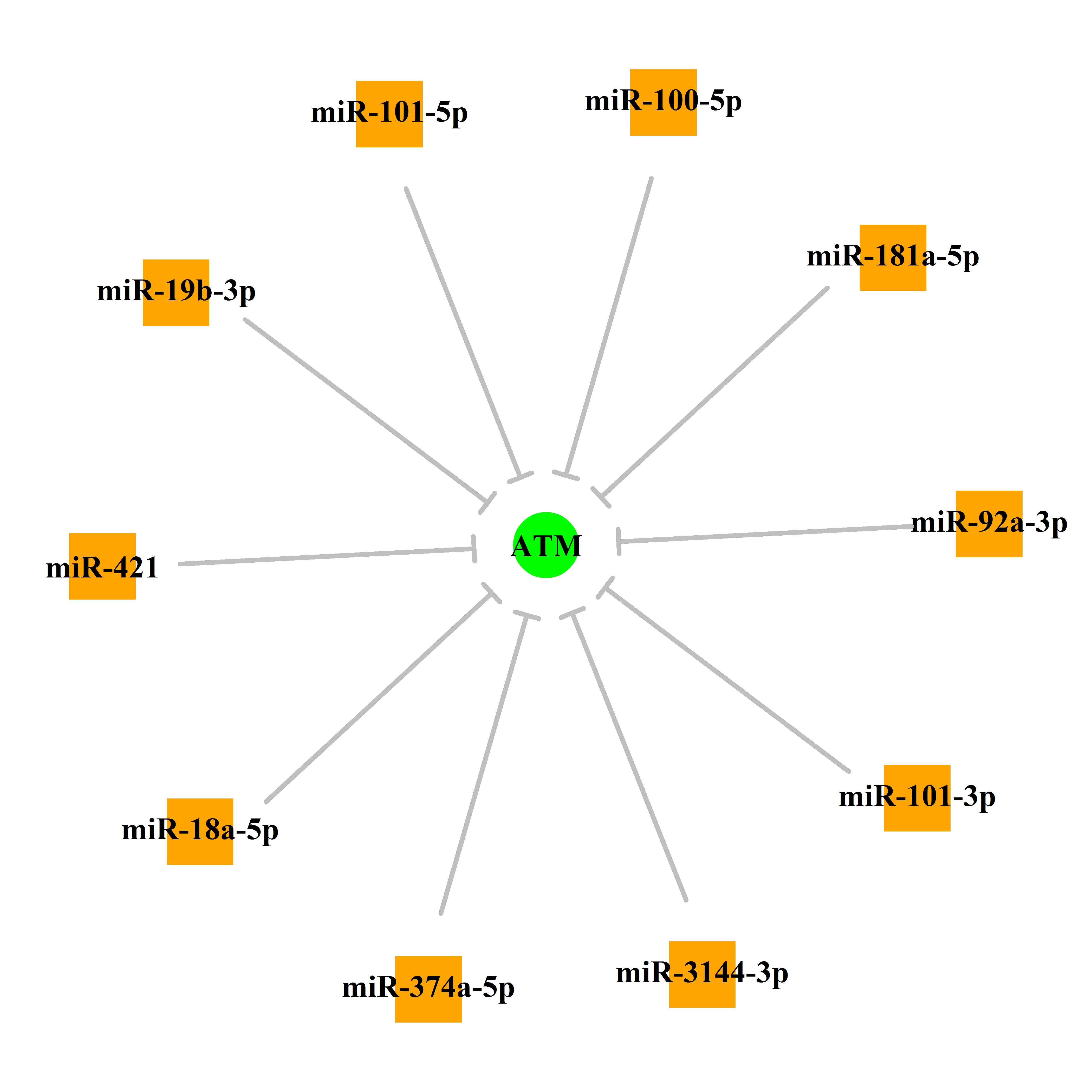 Experimentally validated miRNA-TS gene regulation information.