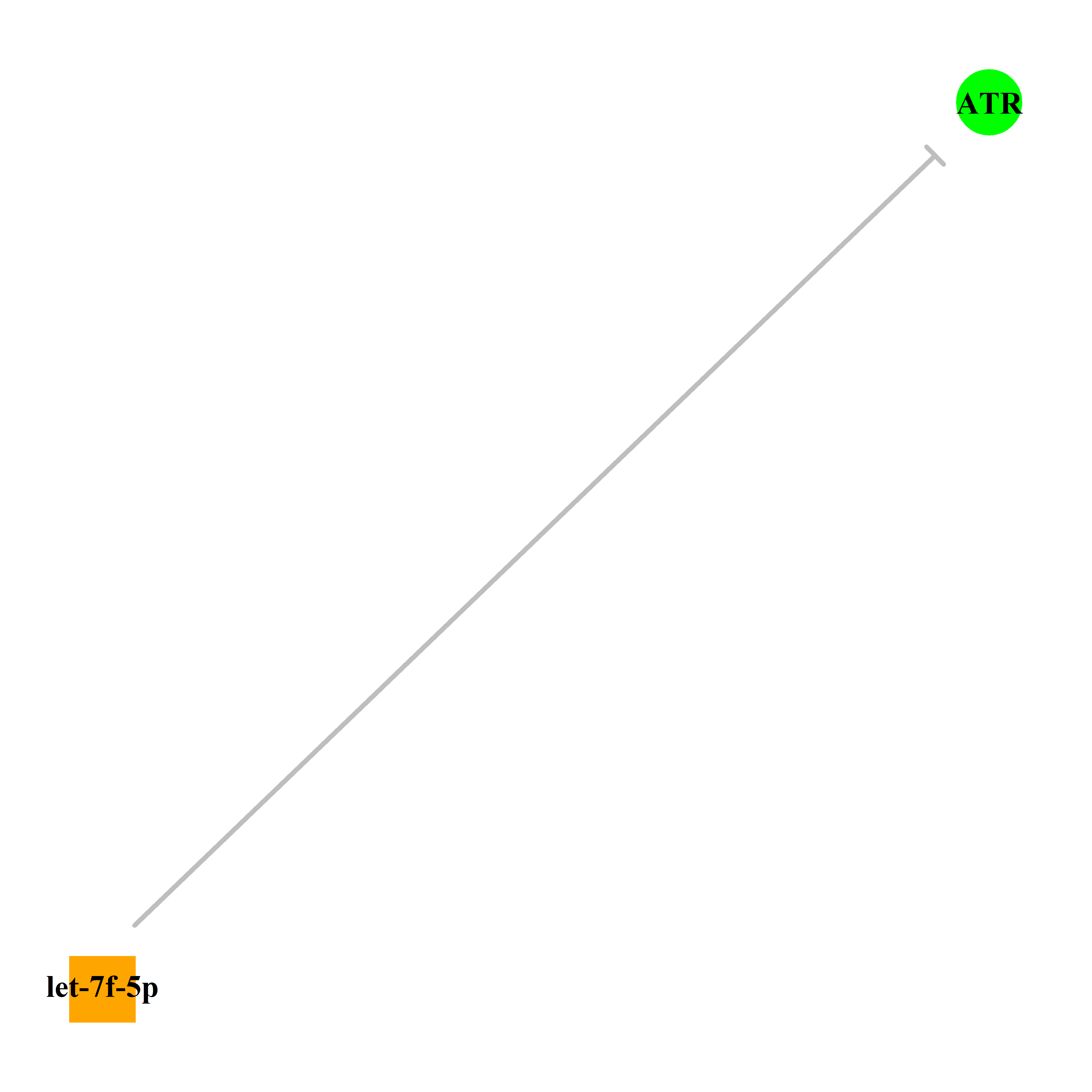 Experimentally validated miRNA-TS gene regulation information.