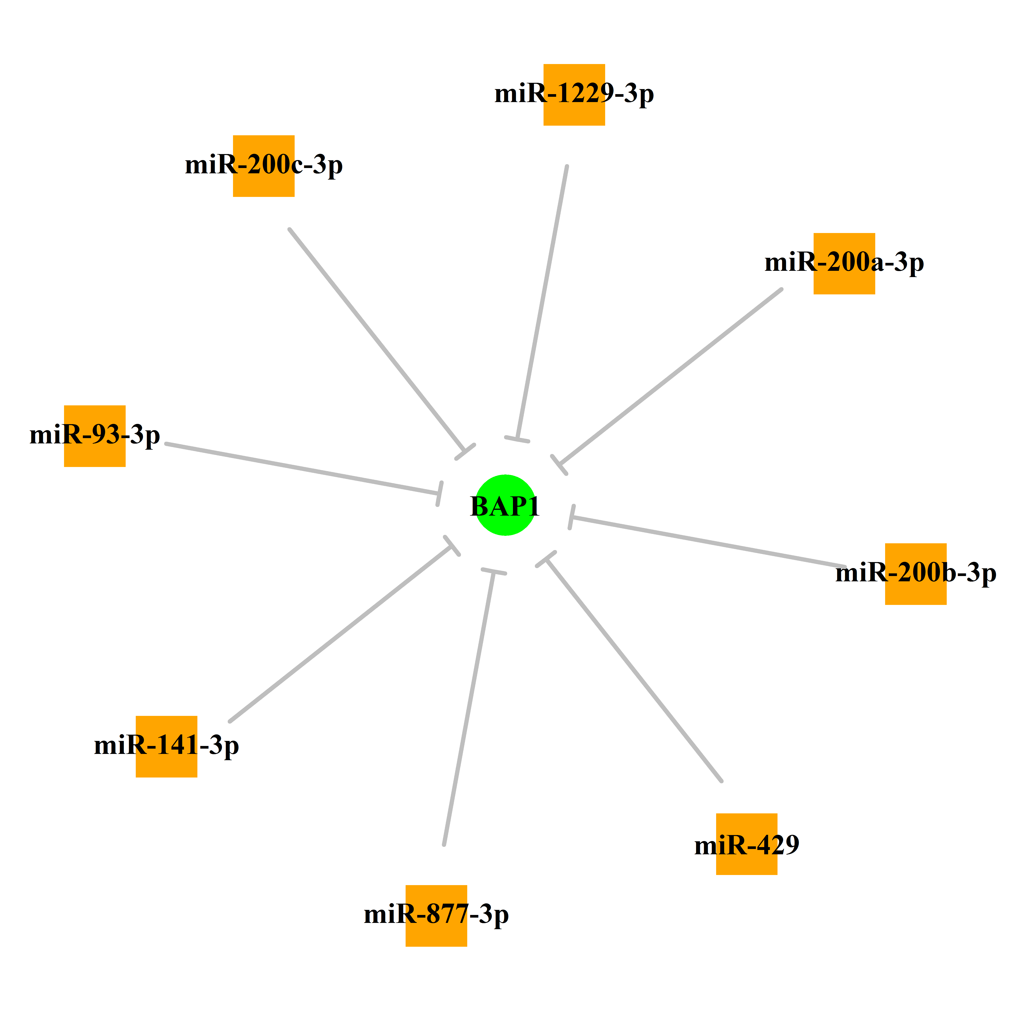 Experimentally validated miRNA-TS gene regulation information.