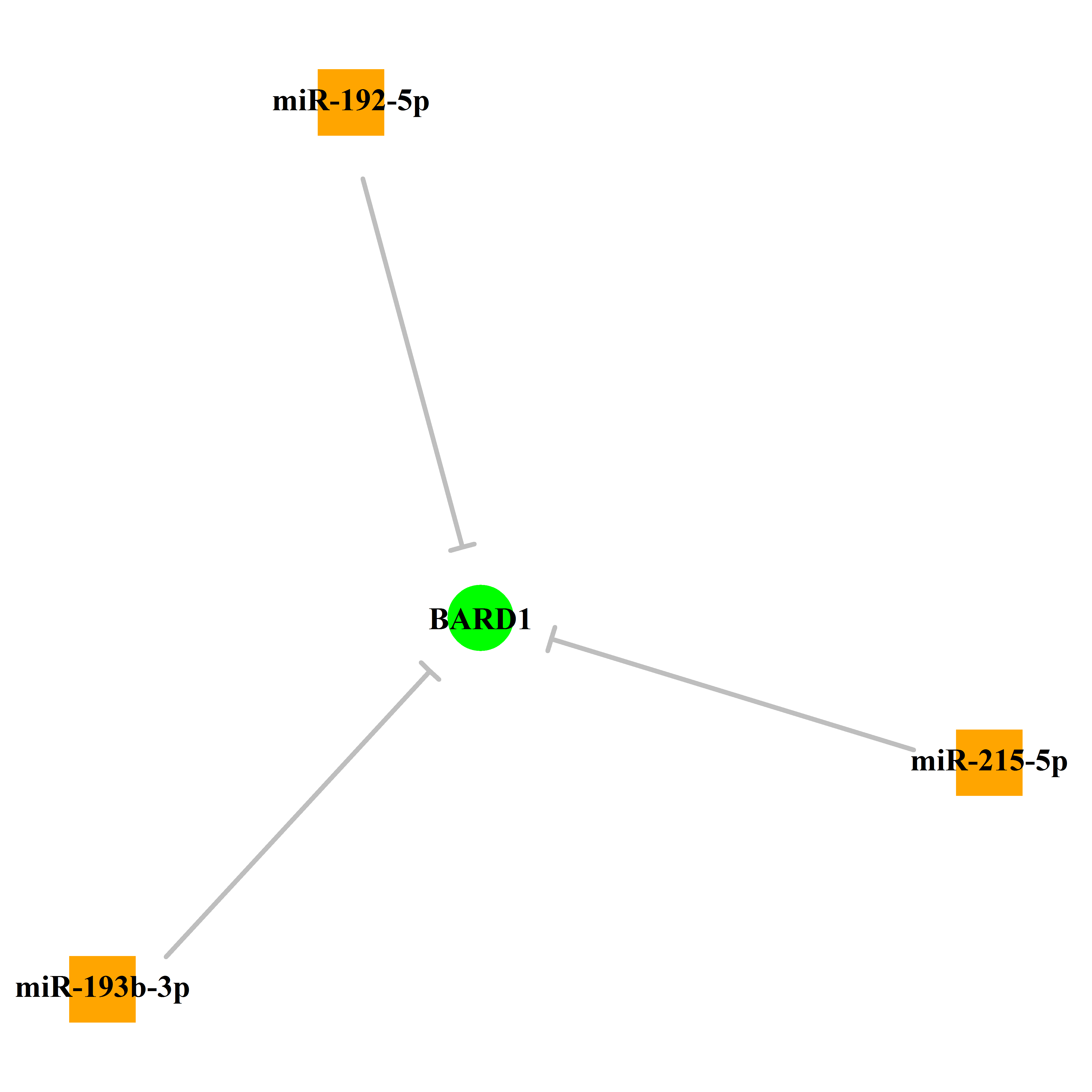 Experimentally validated miRNA-TS gene regulation information.