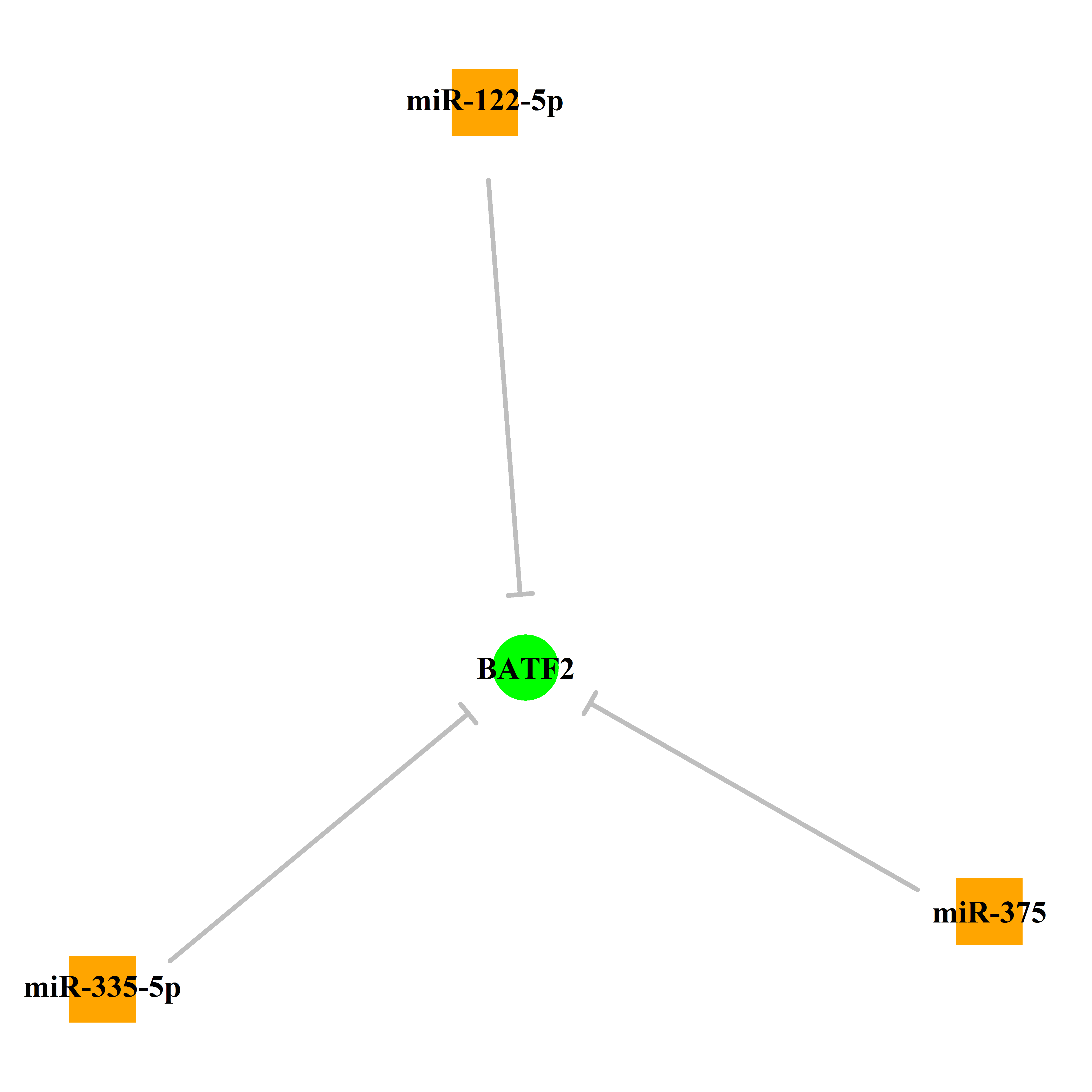 Experimentally validated miRNA-TS gene regulation information.