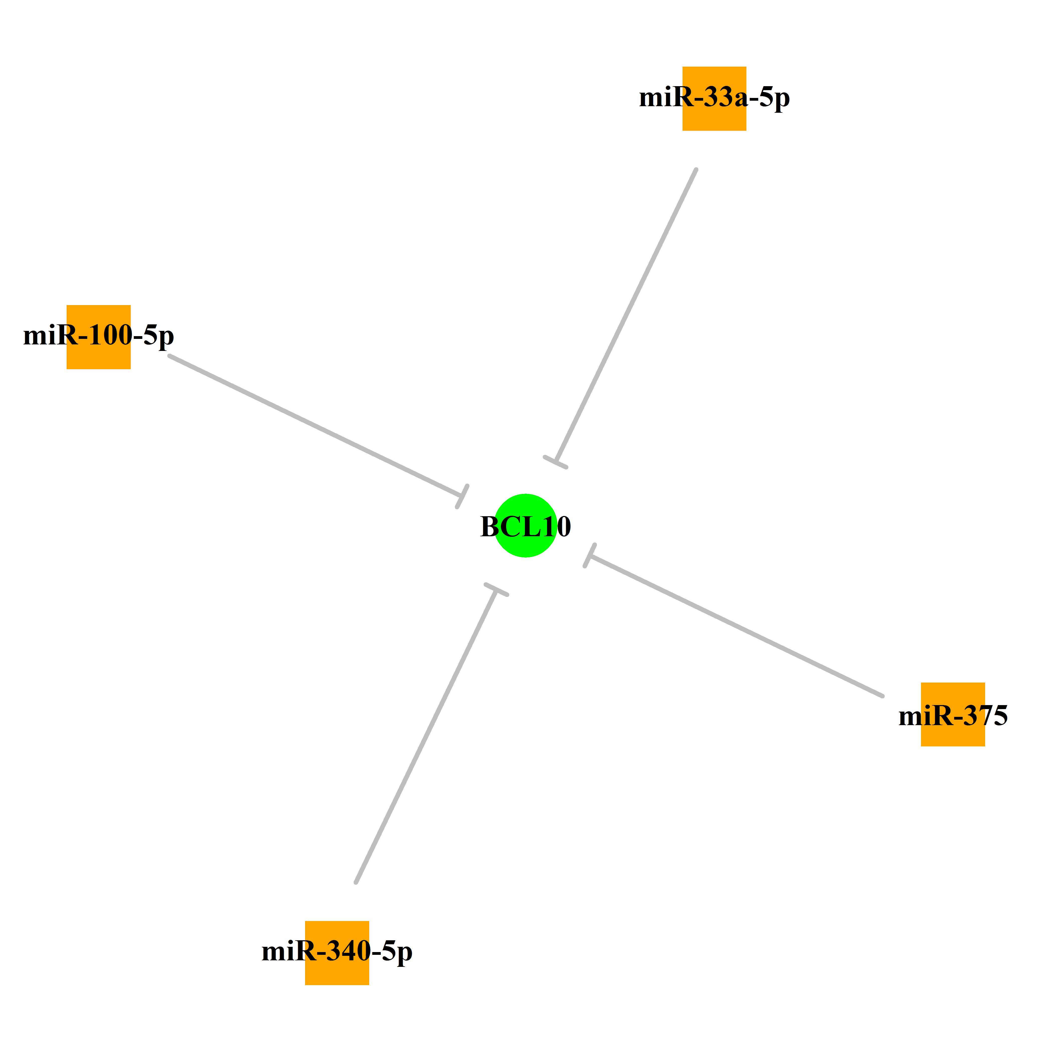 Experimentally validated miRNA-TS gene regulation information.