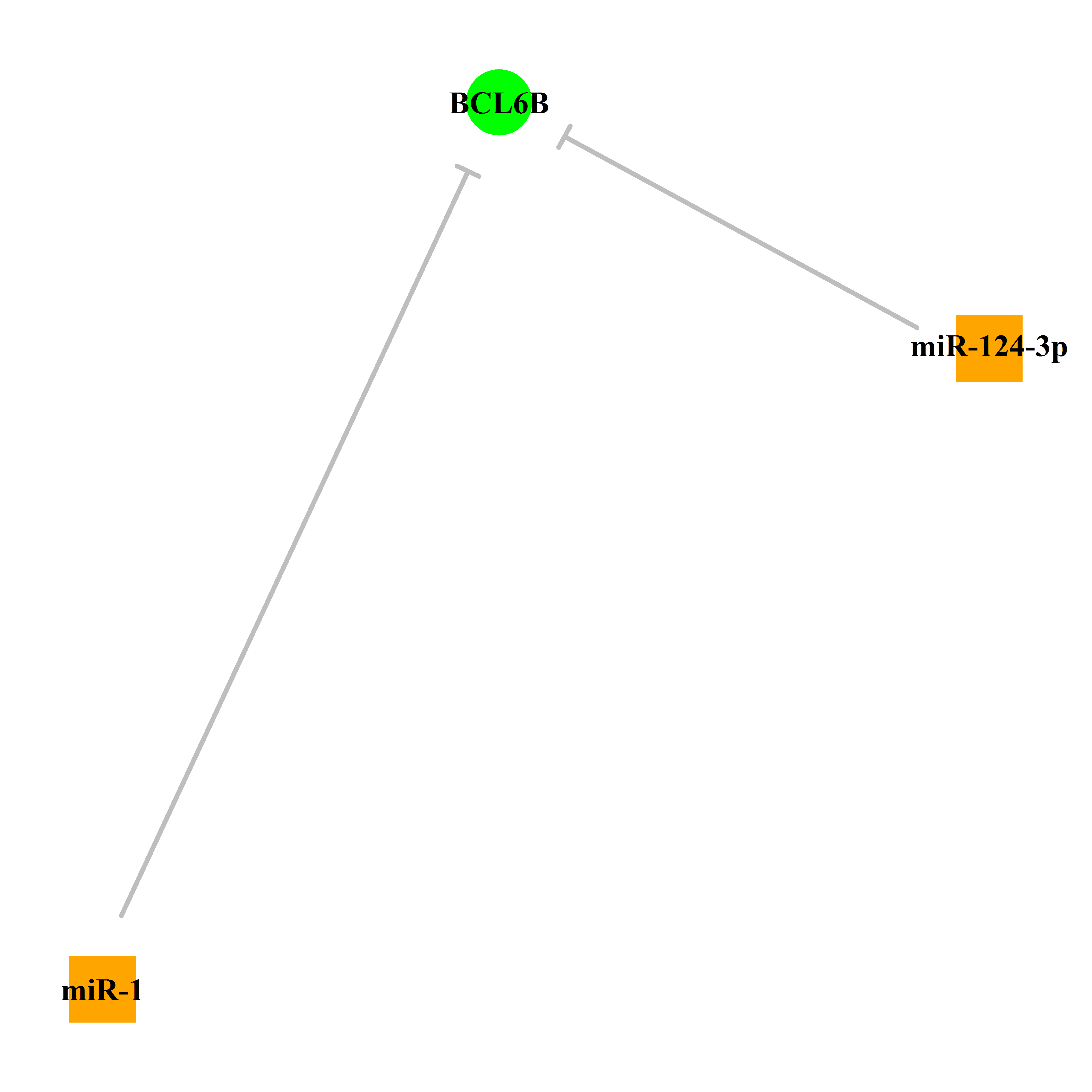 Experimentally validated miRNA-TS gene regulation information.