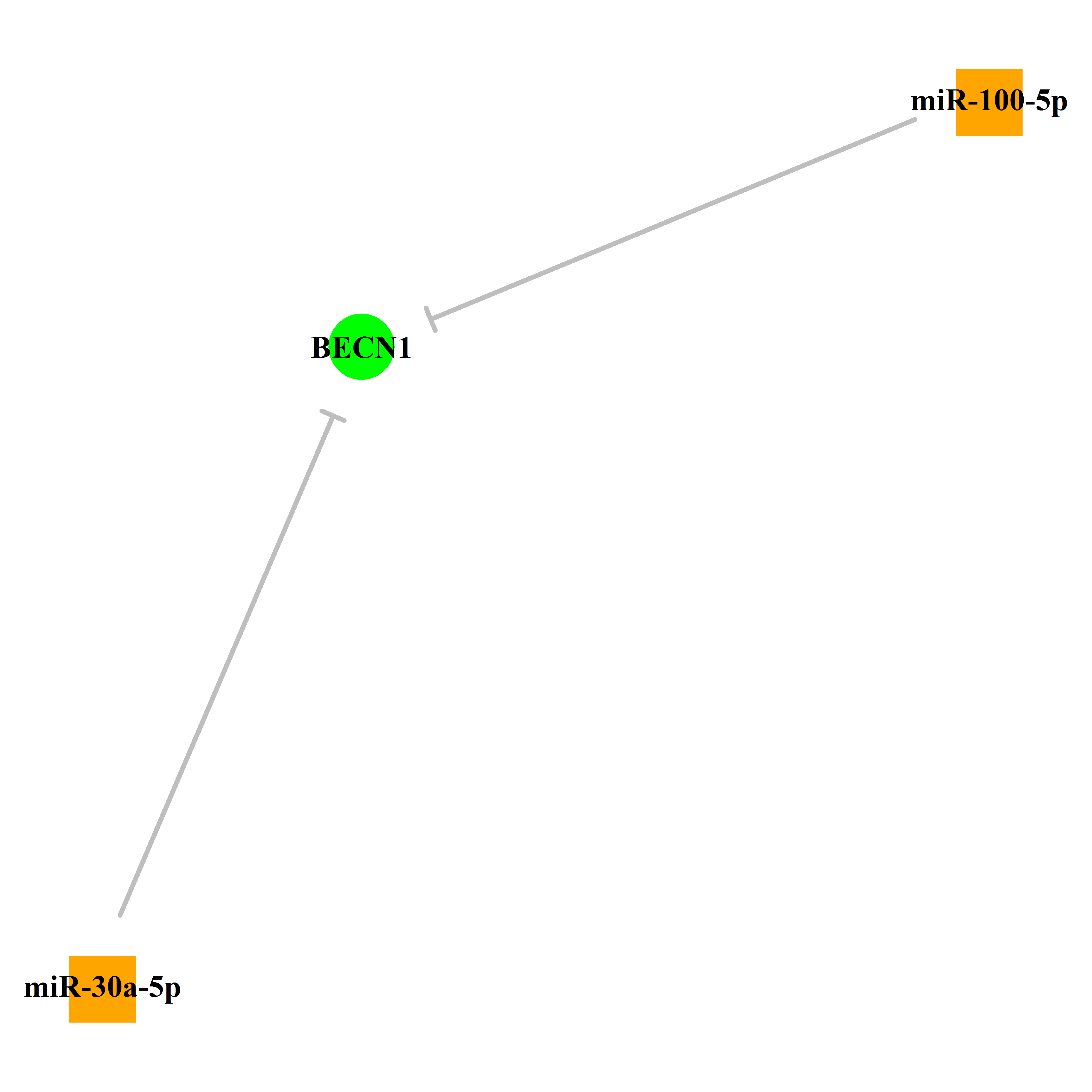 Experimentally validated miRNA-TS gene regulation information.