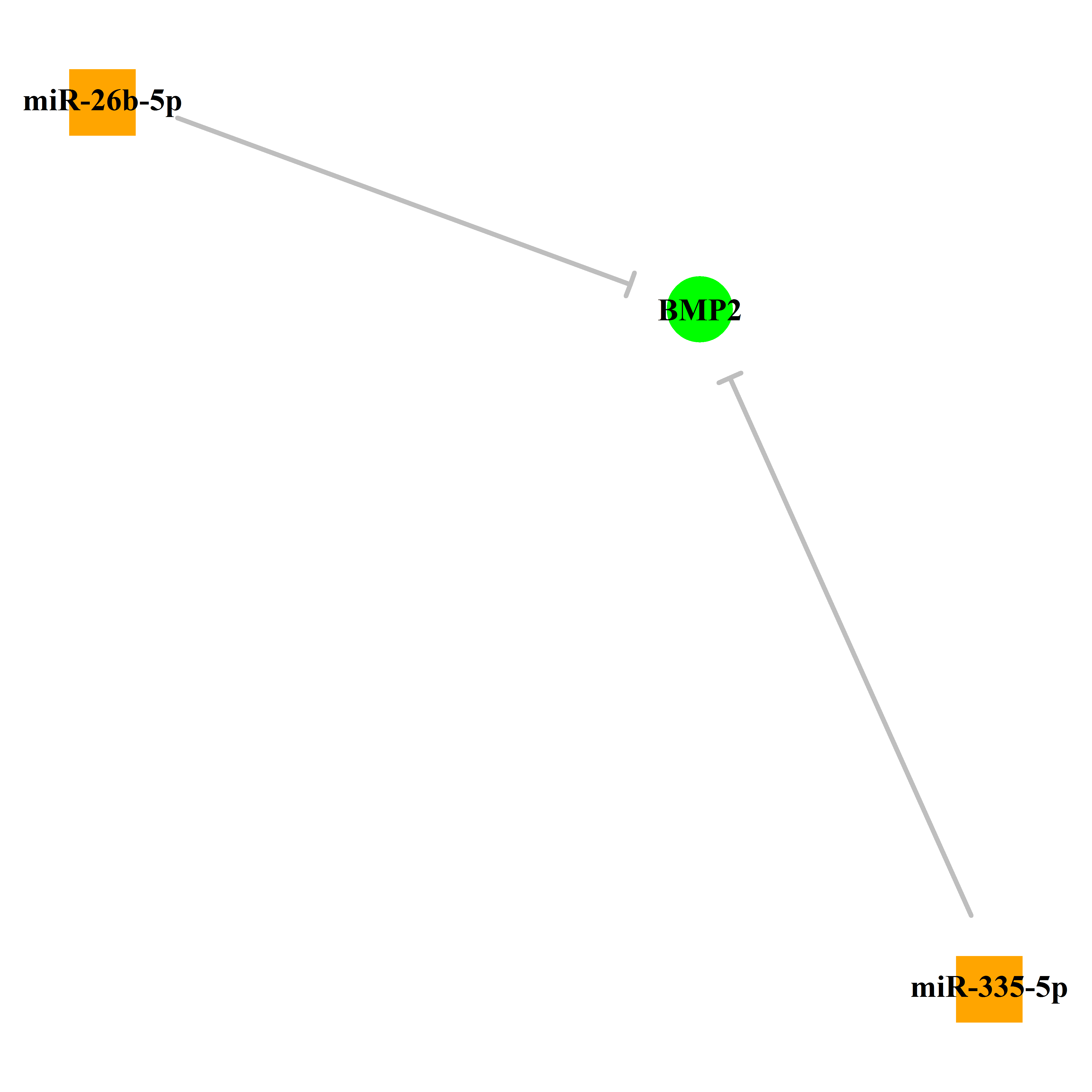 Experimentally validated miRNA-TS gene regulation information.