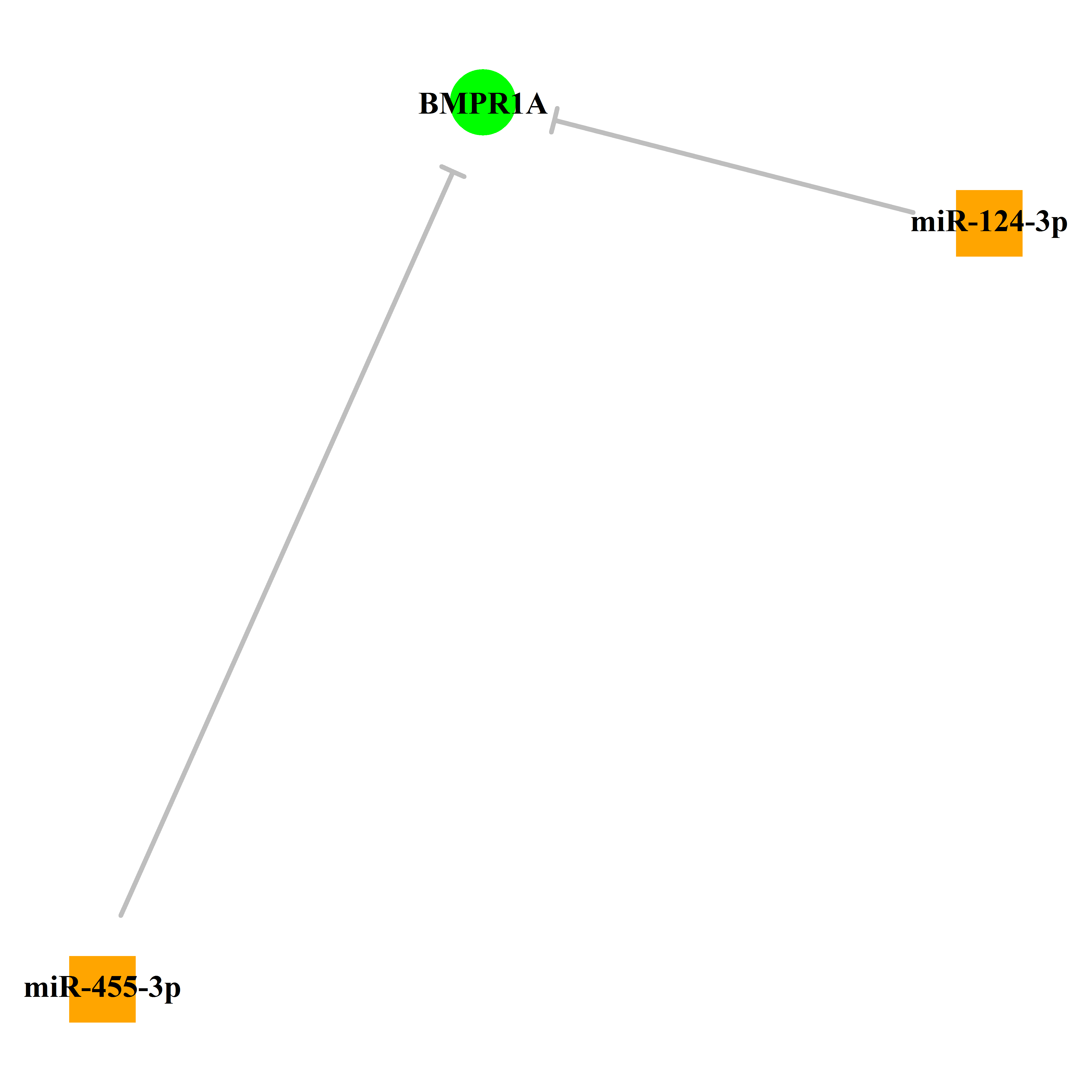 Experimentally validated miRNA-TS gene regulation information.