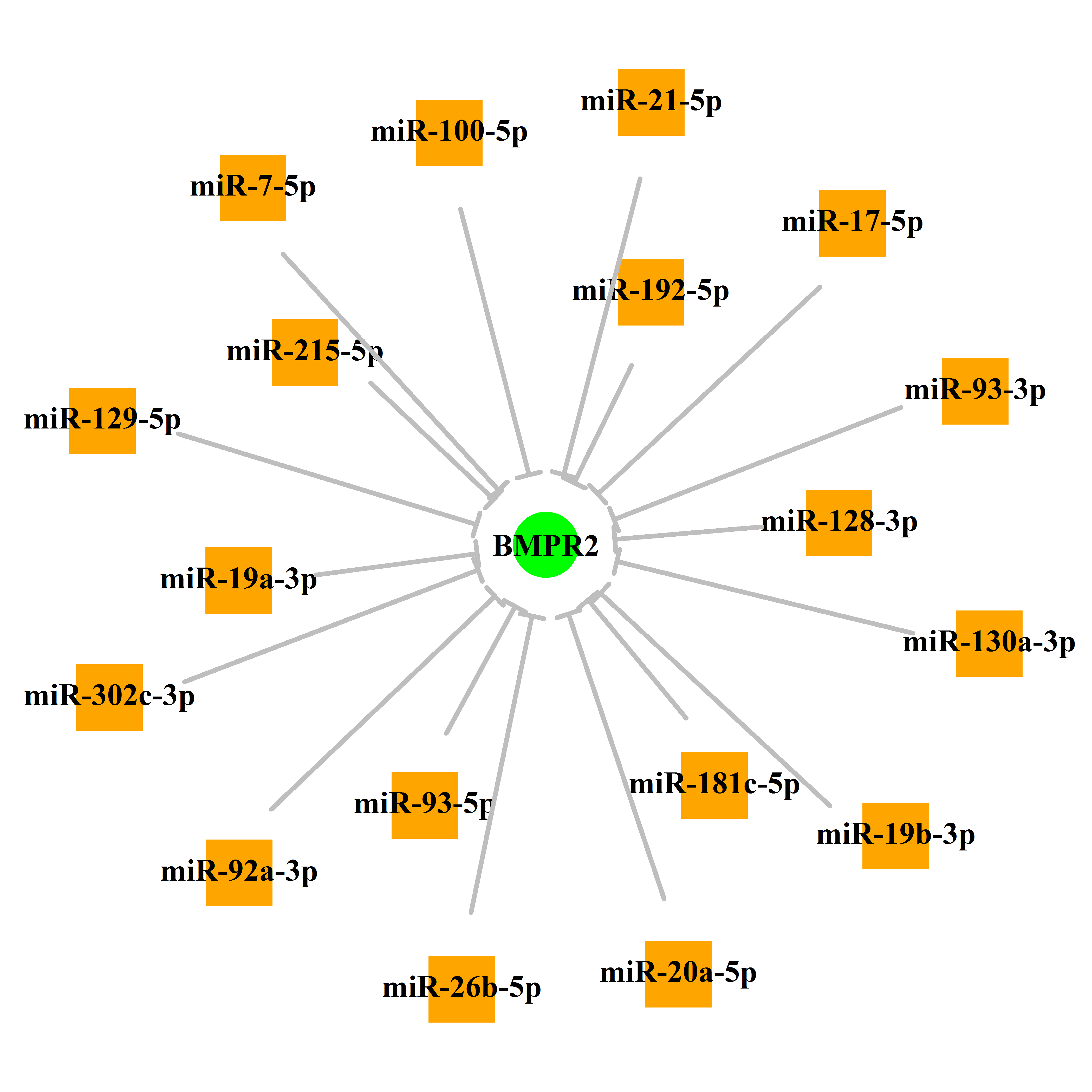 Experimentally validated miRNA-TS gene regulation information.