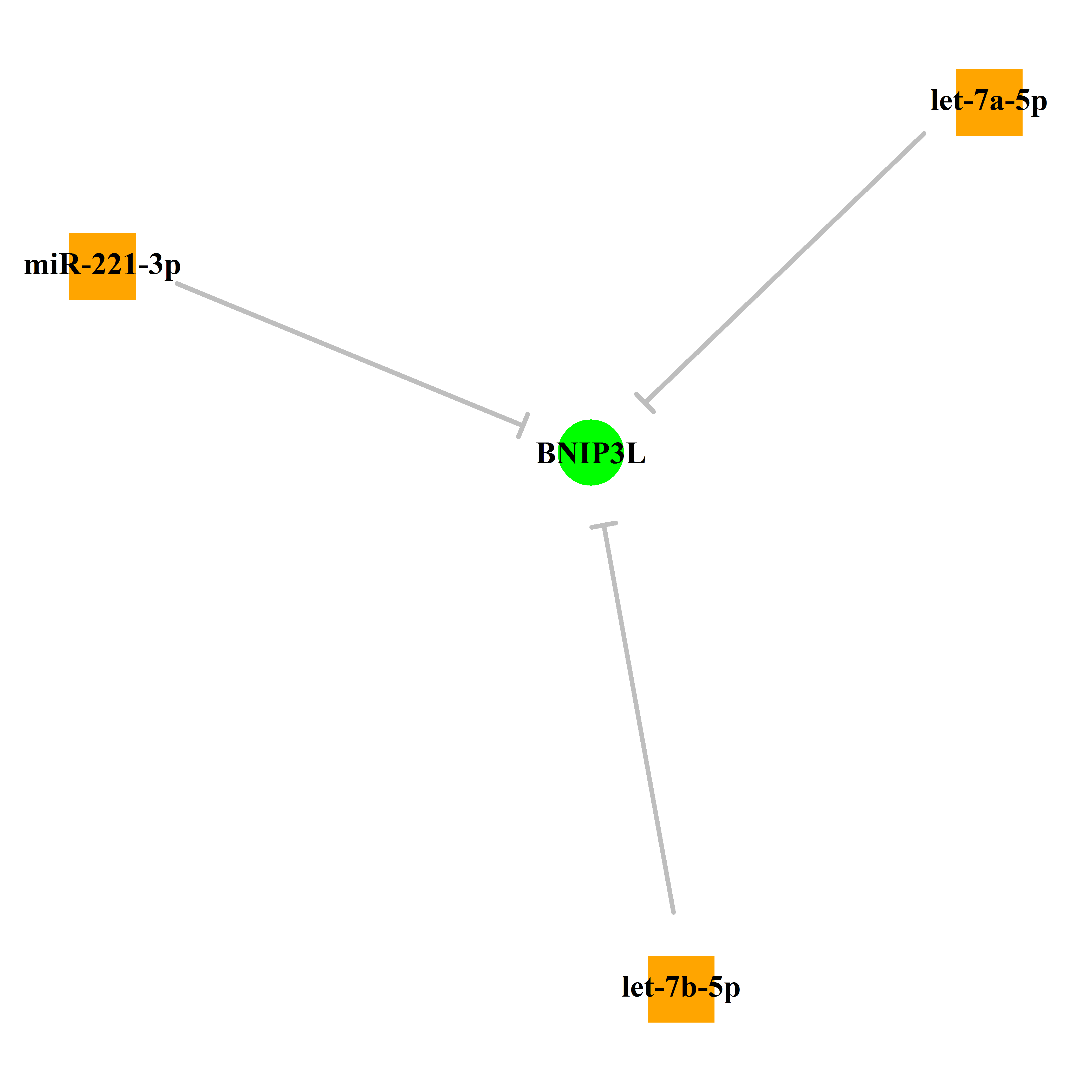 Experimentally validated miRNA-TS gene regulation information.